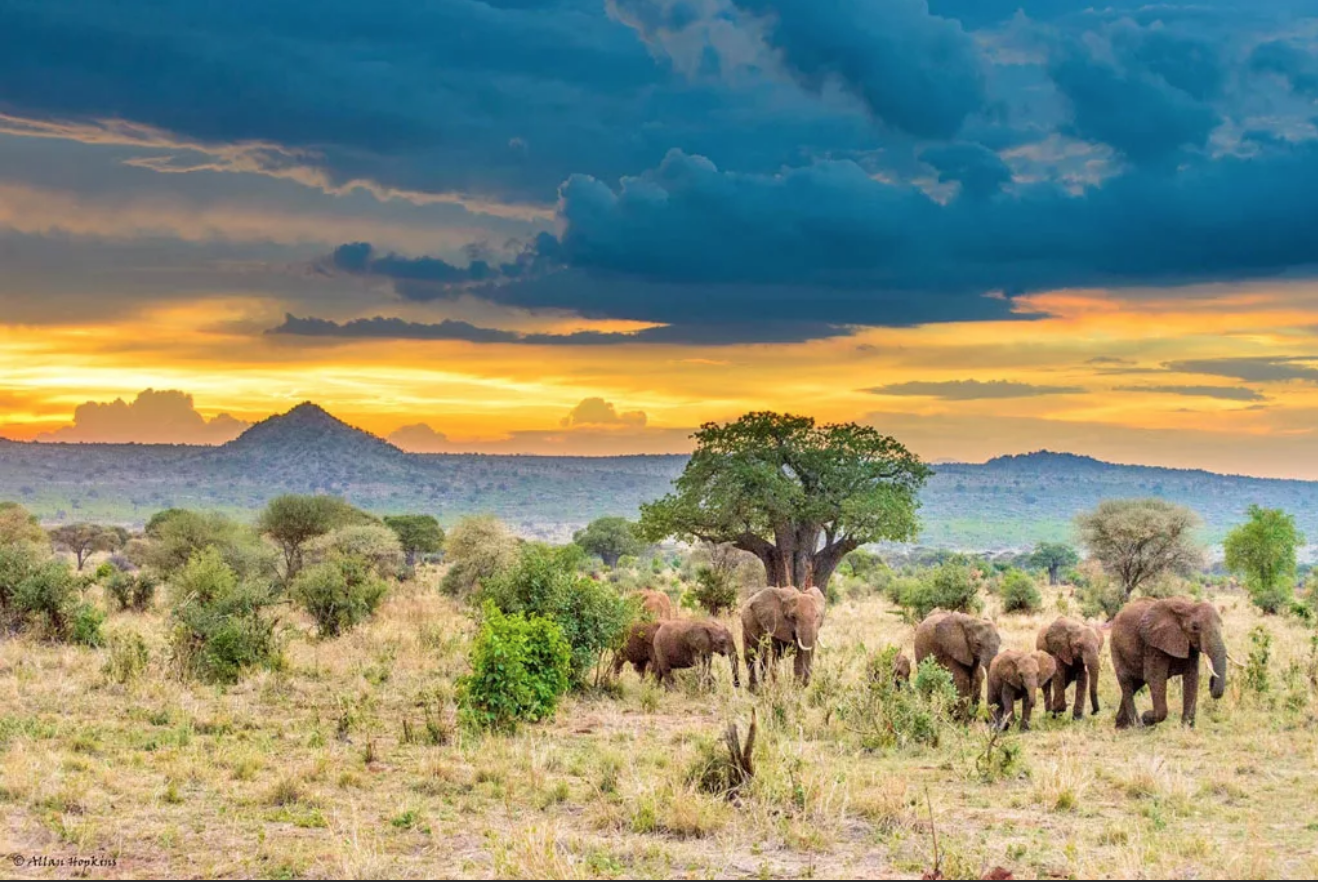 Красивая страна африки. Саванна Серенгети Танзания. Национальный парк Серенгети в Африке. Тарангире национальный парк. Теуантепек Саванна.