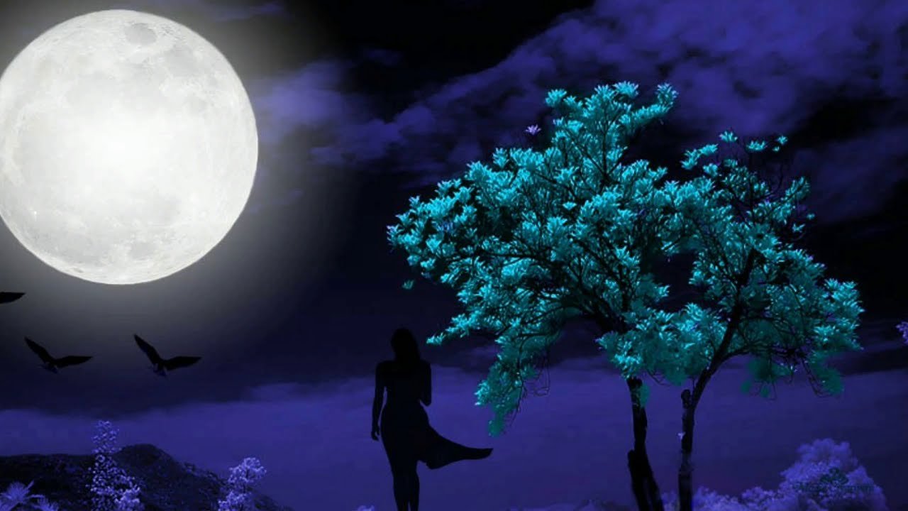 Чудесны лунные мартовские ночи сказочным кажется ночной
