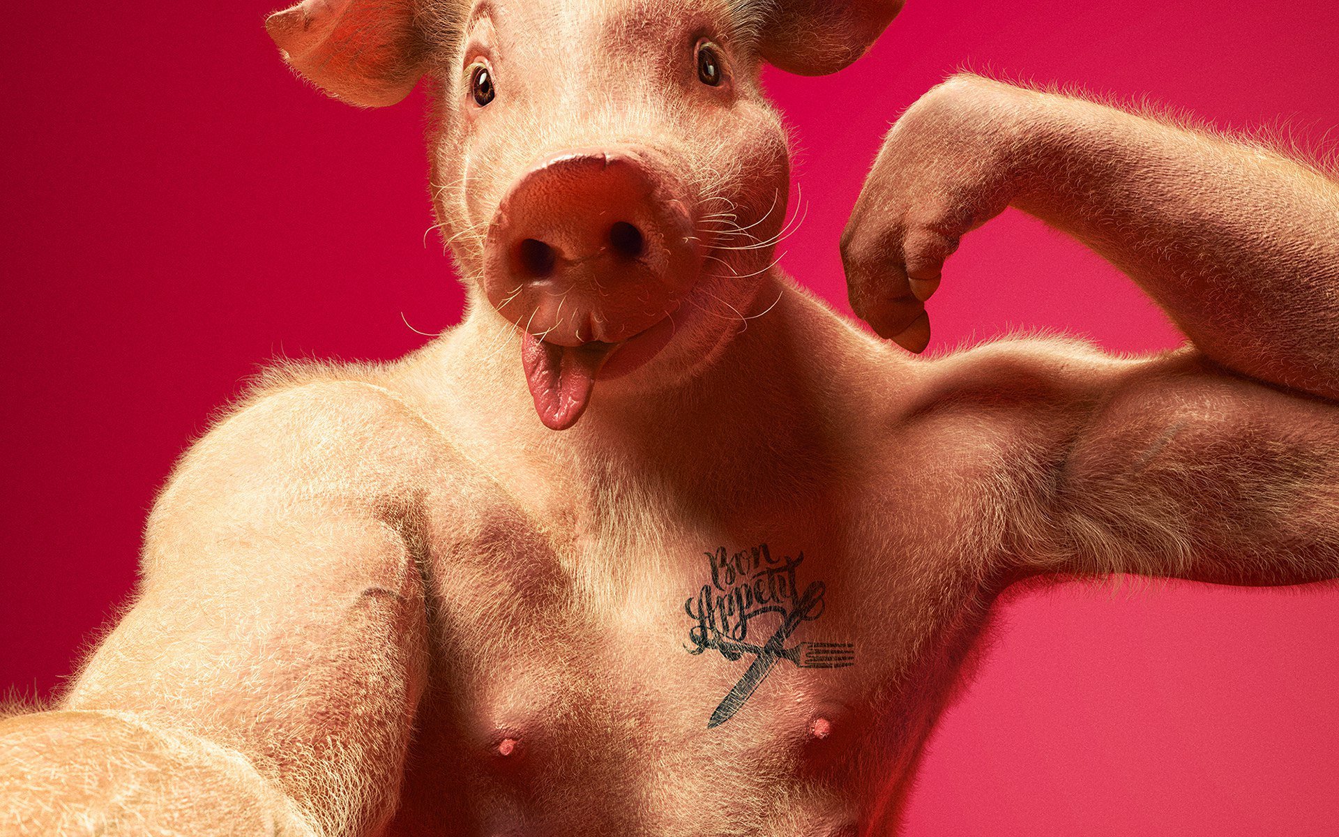Существует свинтус. Смешные свиньи. Свин в костюме. Аватарка свиньи. Крутой поросенок.