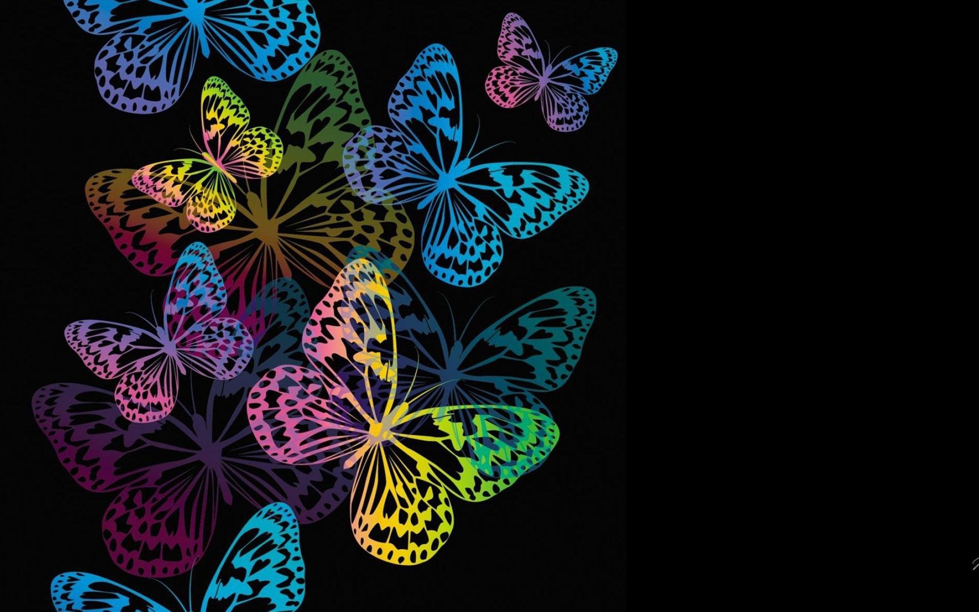 Рисунки на фон телефона. Бабочки на черном фоне. Красивый фон с бабочками. Яркие цветы на черном фоне. Заставка бабочки.