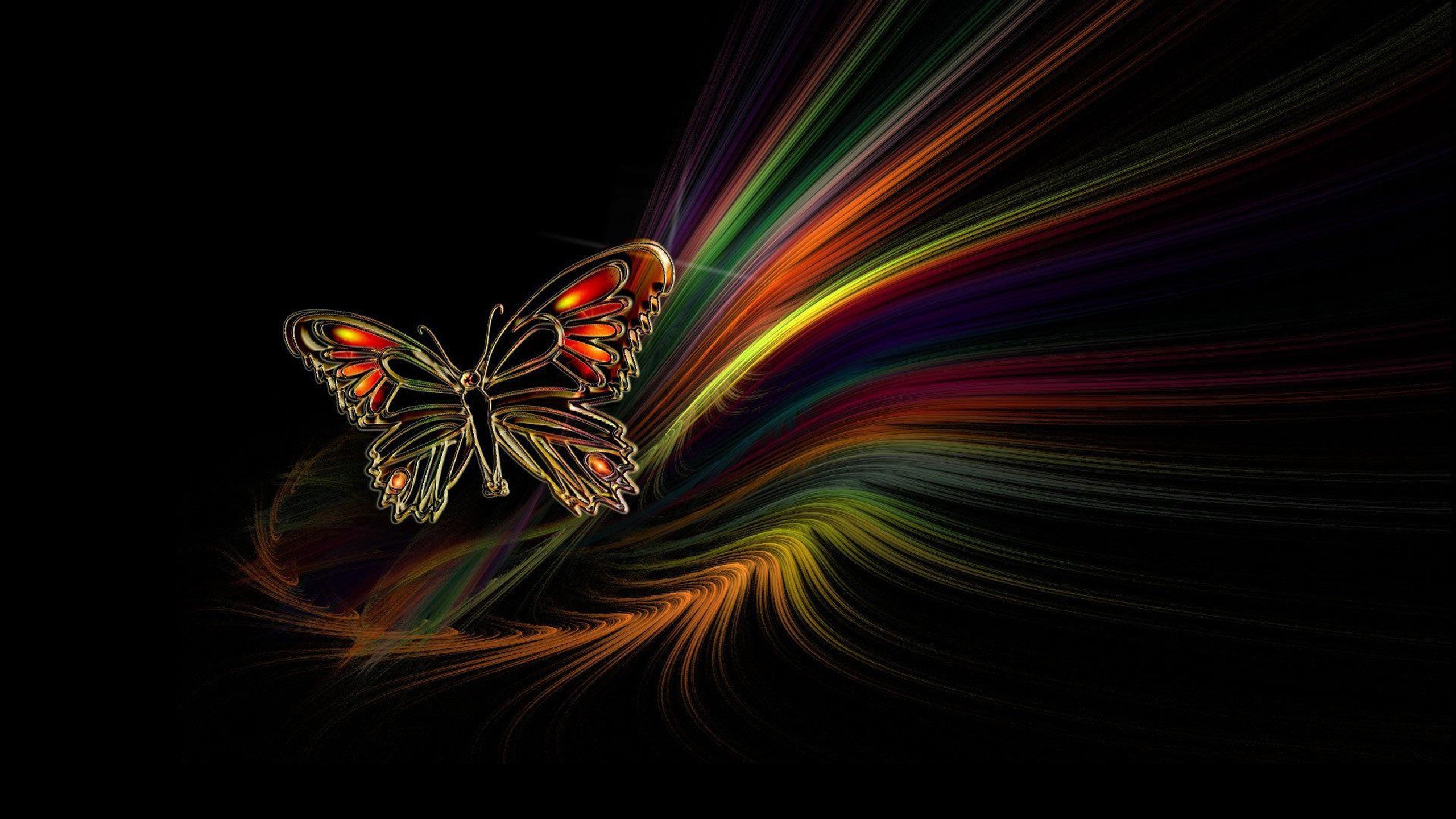Красивые обои телефон на весь экран необычные. Бабочка на темном фоне. Бабочка яркая на черном фоне. Яркие бабочки. Радужная бабочка.