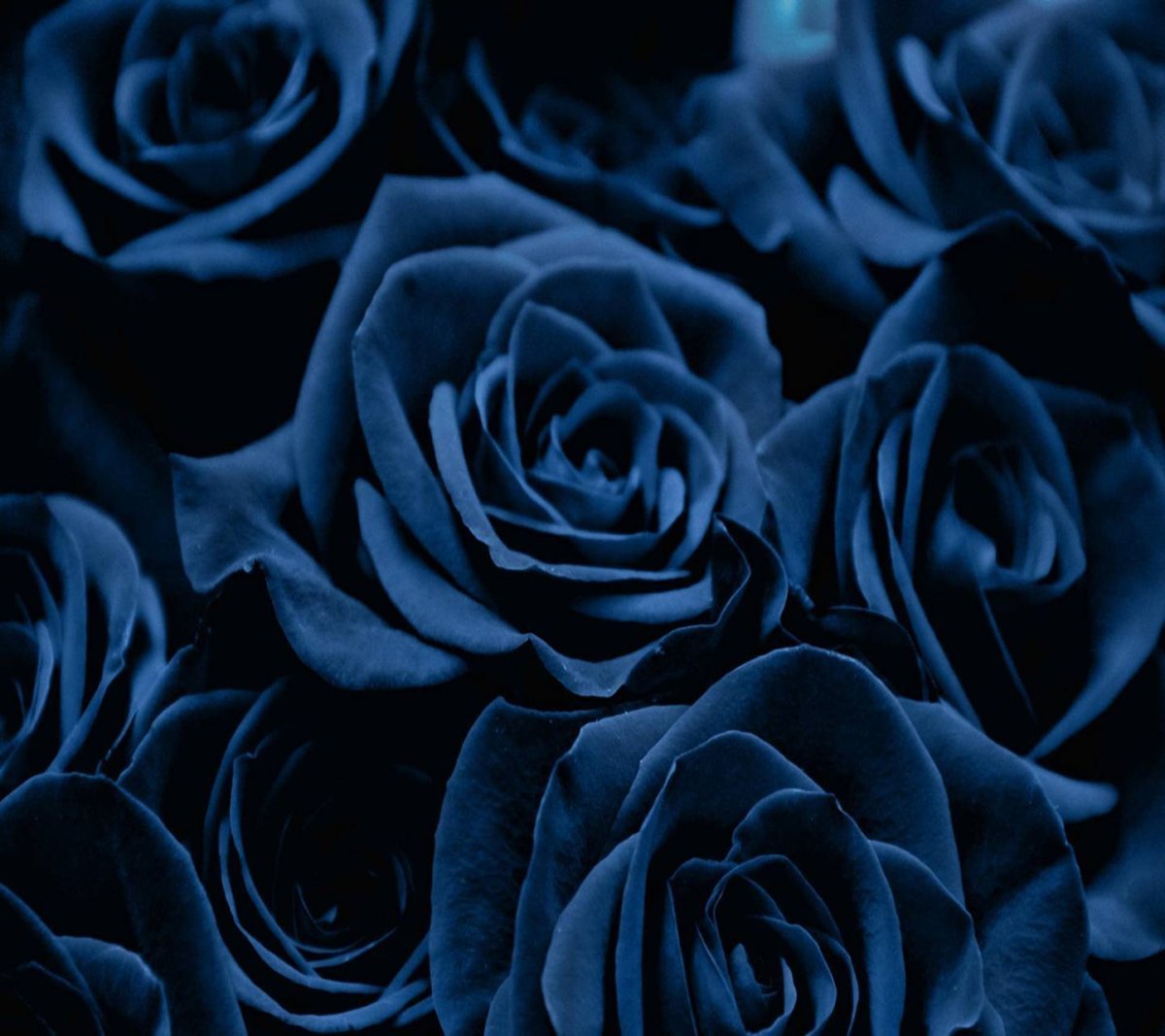 Темно синий красивый цвет