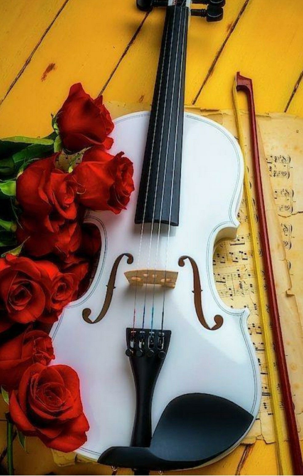 17 скрипка