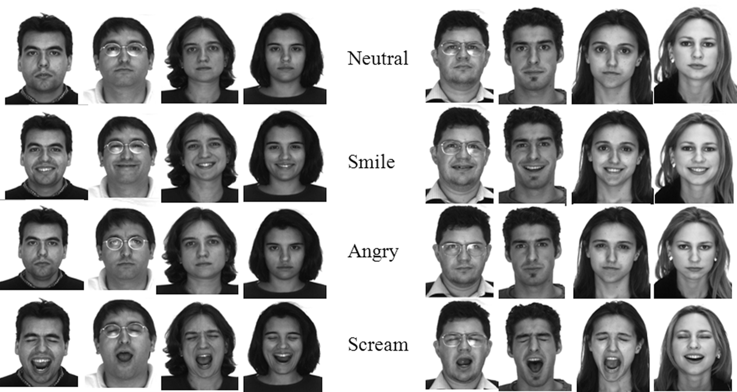 Эмоции лица. Мимика лица. Выражения лица эмоции. Распознавание эмоций по выражению лица.
