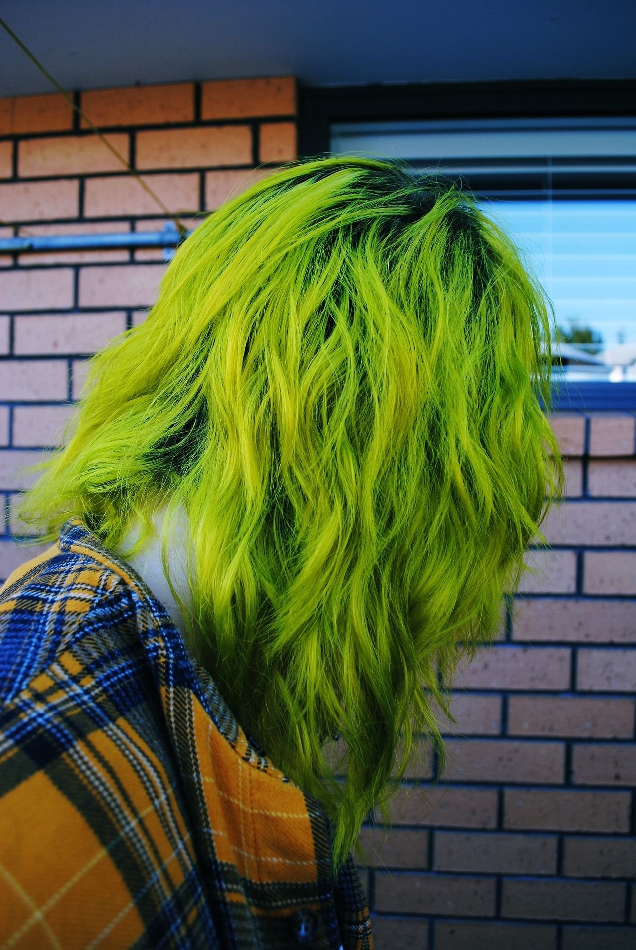 Зеленая затылка. Грин Хаир. Зеленые волосы. Яркие зелёные волосы. Желто зеленые волосы.