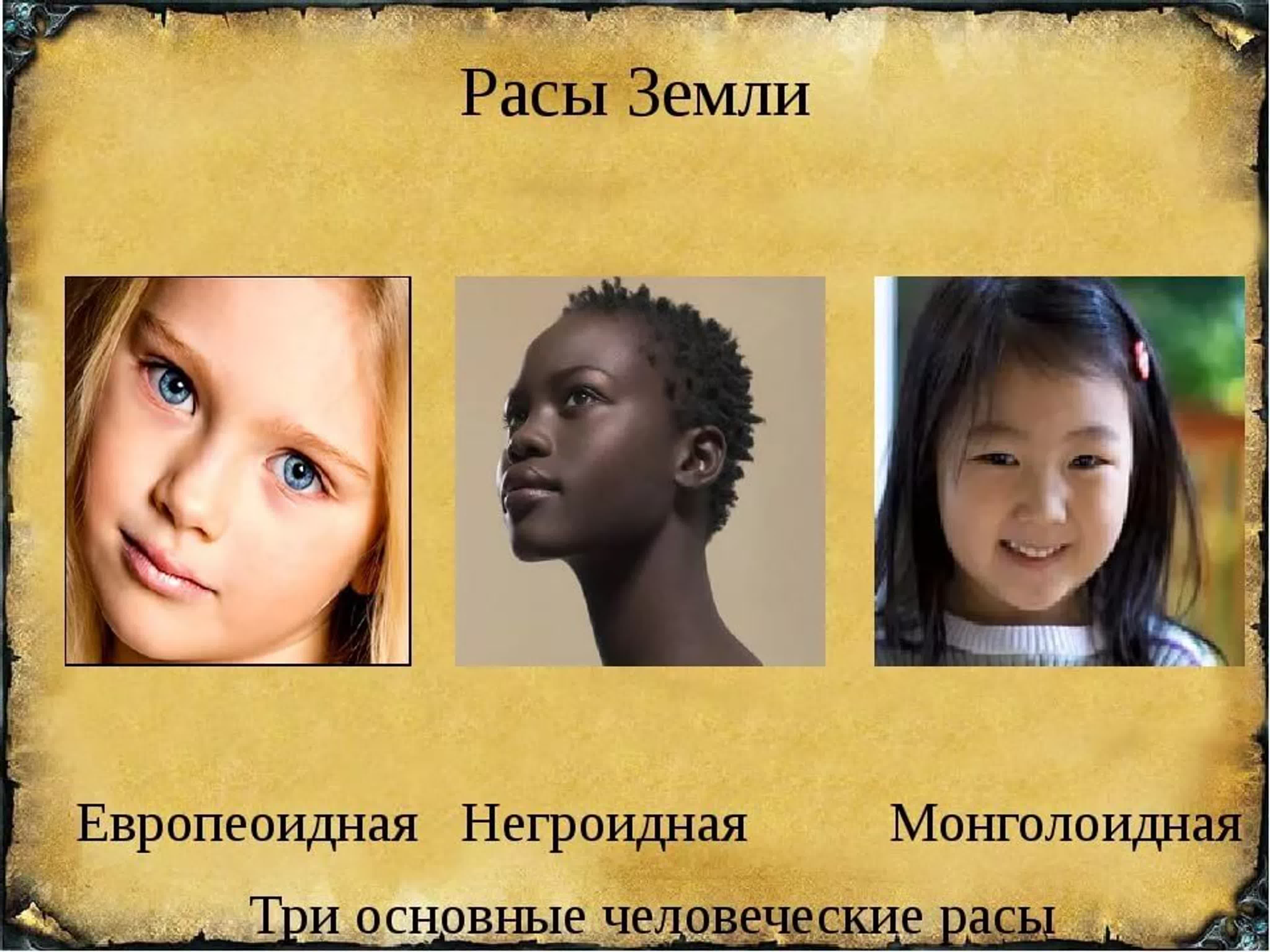 Европеоидная раса и негроидная раса