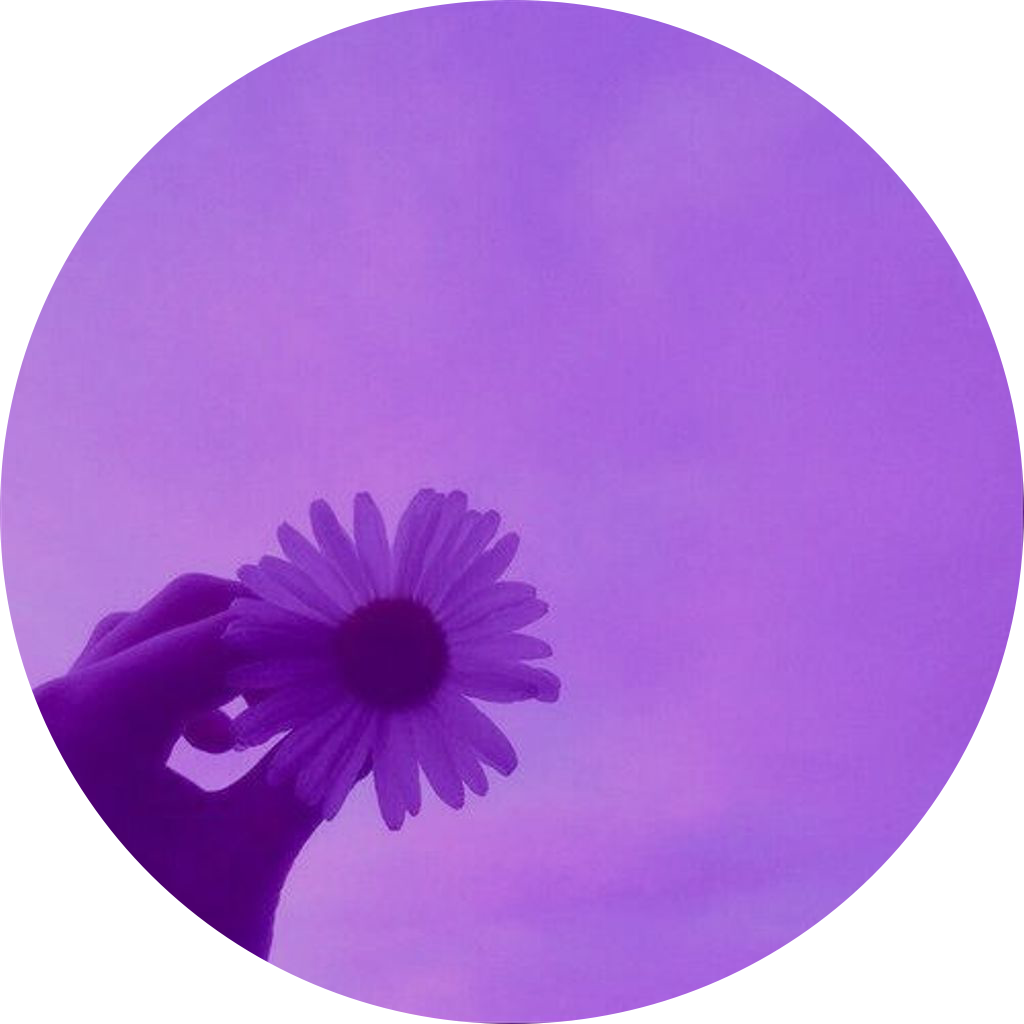 Фиолетовый вб. Фиолетовый. Фиолетовый аватар. Круглые фиолетовые цветы. Цветы сиреневые круглые.
