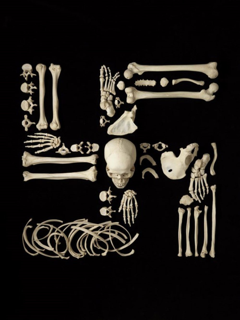 Bone art. Человеческие кости. Мебель из человеческих костей. Кости человека арт.
