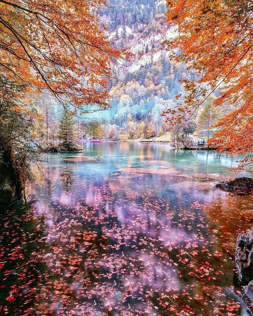 Восхитительная красота. Озеро Блау. Озеро Блаузее. Озеро Блау Швейцария осень. Восхитительный пейзаж.