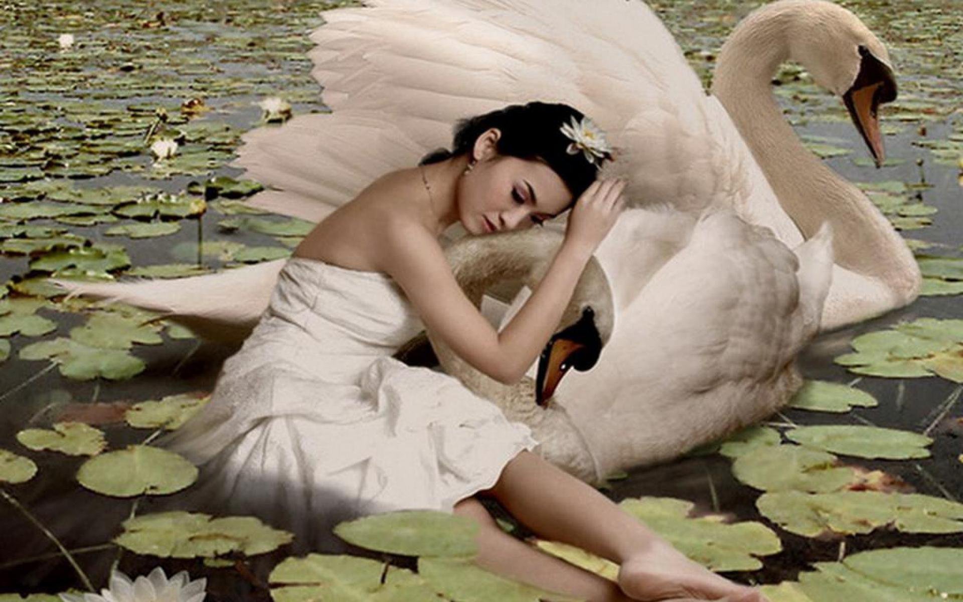Кто поет лебедь белая сильная смелая. Девушка лебедь. Девушка с лебедем в руках. Девушка лебедь фотосессия. Уставший лебедь.