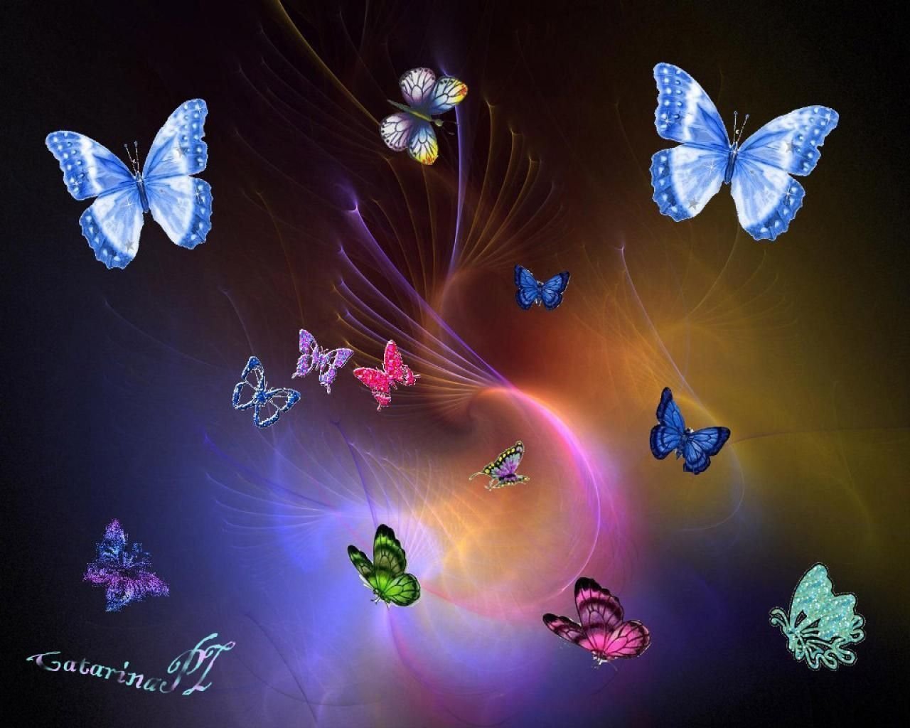 Голубые бабочки фон. Фон бабочки. Красивые бабочки. Волшебные бабочки. Яркие бабочки.