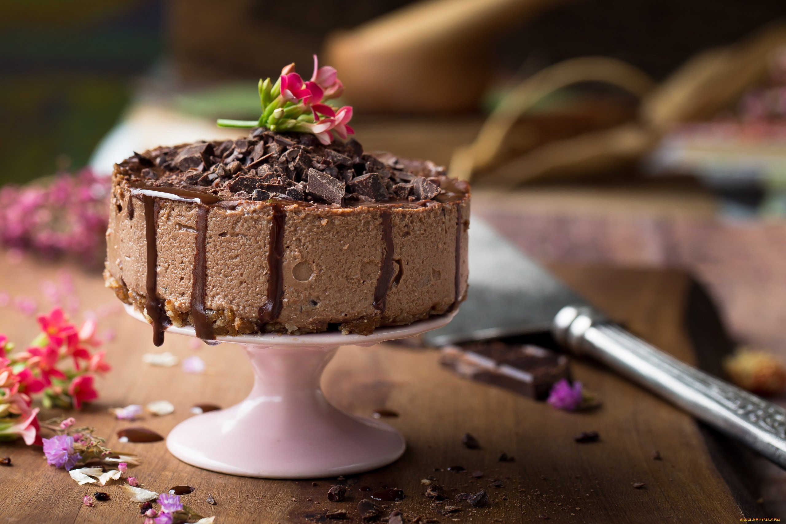 Песня сладким шоколадом. Торт тирамису десерт фэнтези. Шоколадное пирожное. Необычные Десерты.