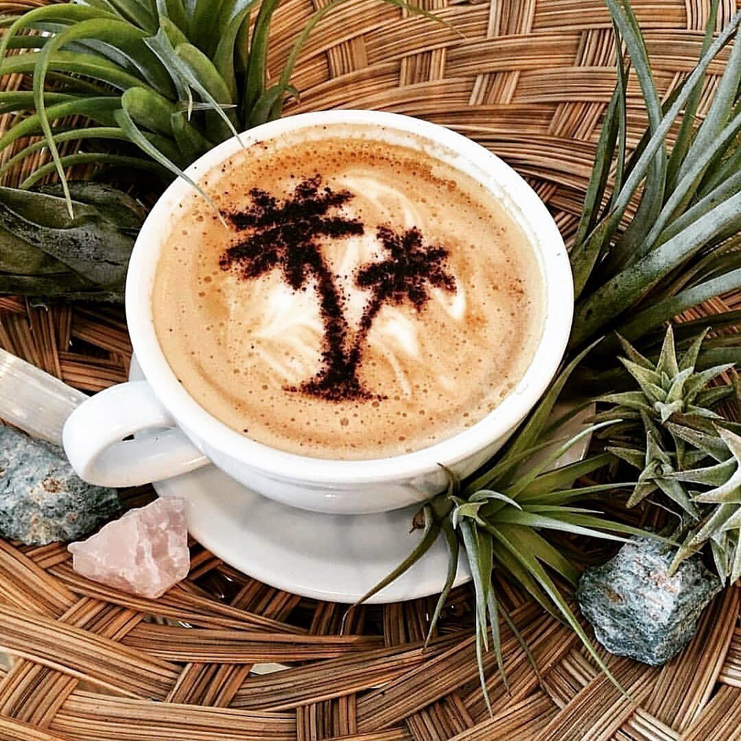 Утро пальмы кофе