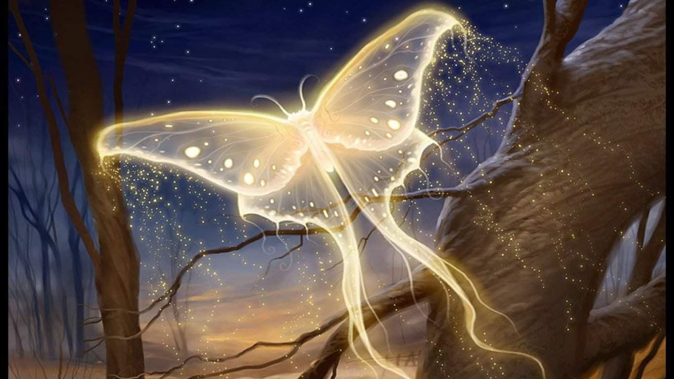 Волшебное стекло моей души. Волшебные бабочки. Красивые волшебные бабочки. Бабочка душа. Бабочка ночью.