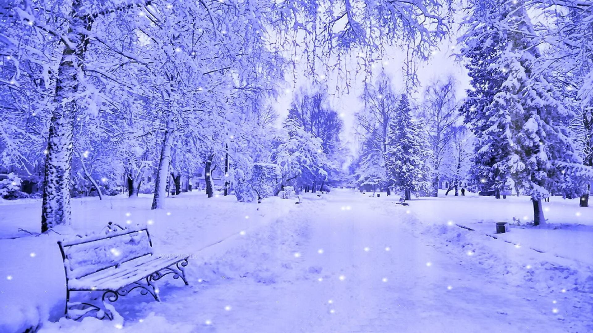 Снежок пк. Зимние обои. Зимний пейзаж на рабочий стол. Зимний фон. Красивая зима.