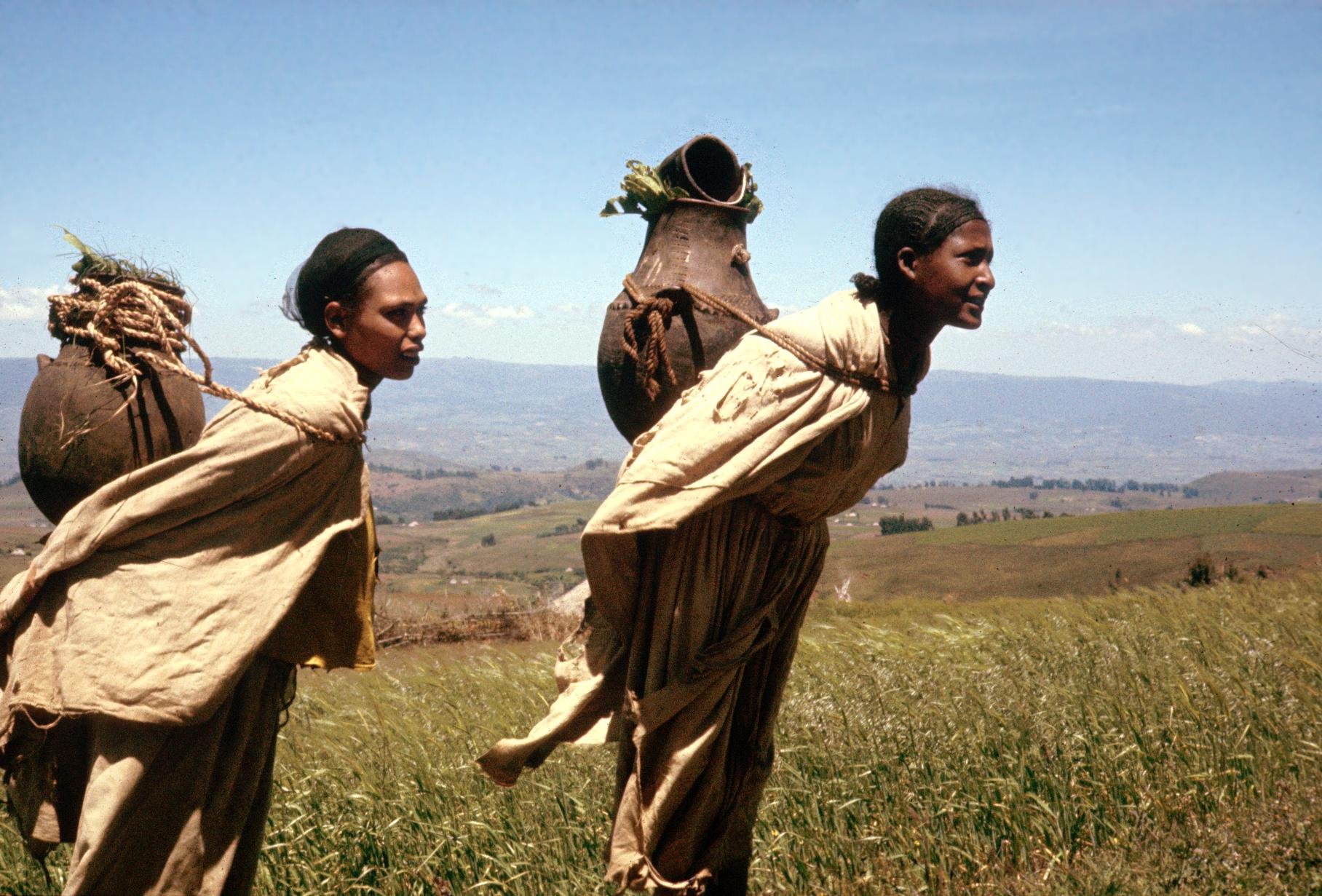 Занятие юар. Оромо народ Африки. Народ оромо в Эфиопии. Племя в Африке оромо. Народ Амхара в Эфиопии.