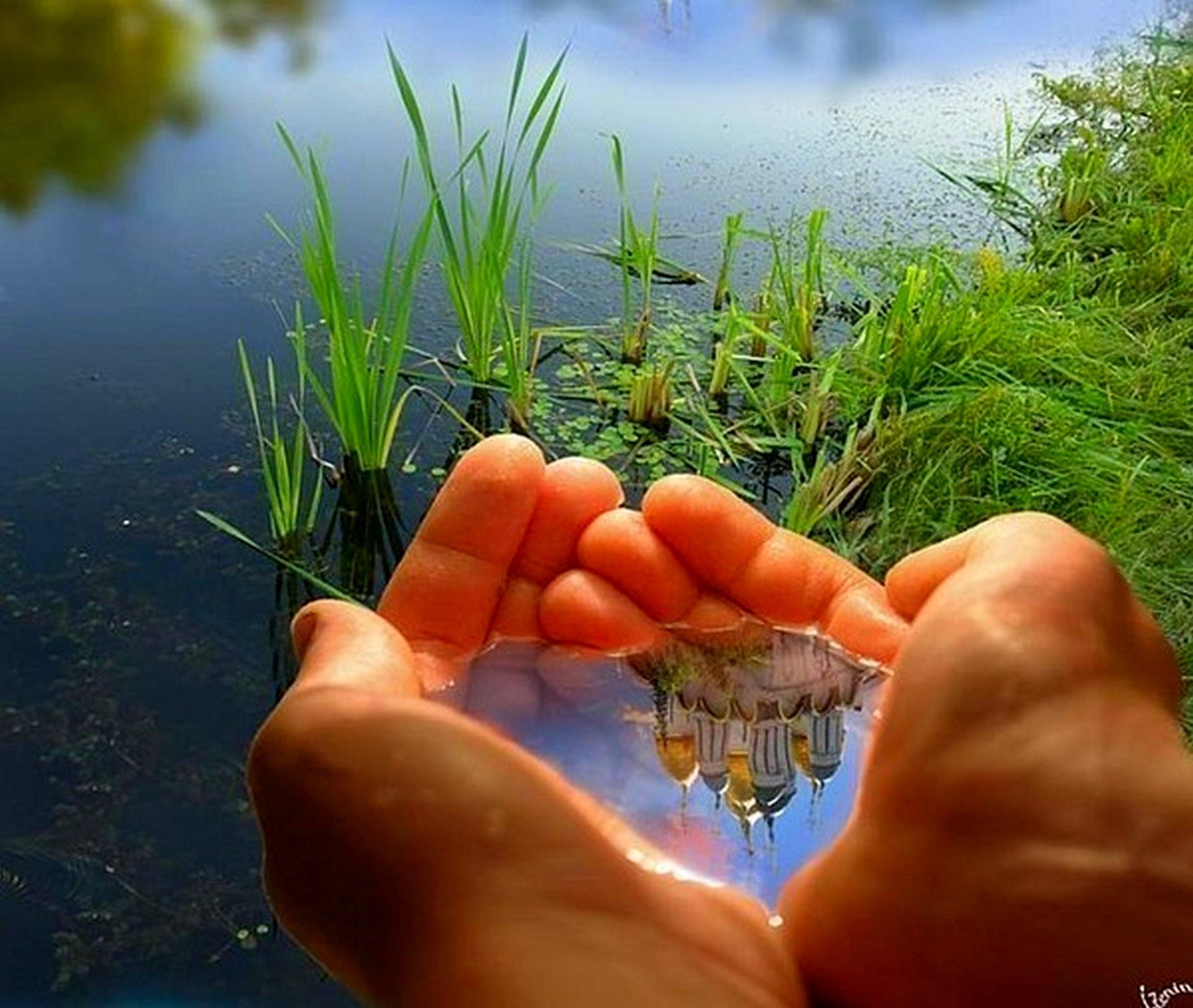Берег жив. Вода в ладонях. Природа на ладони. День защиты малых рек и водоемов. Жизнь природа.