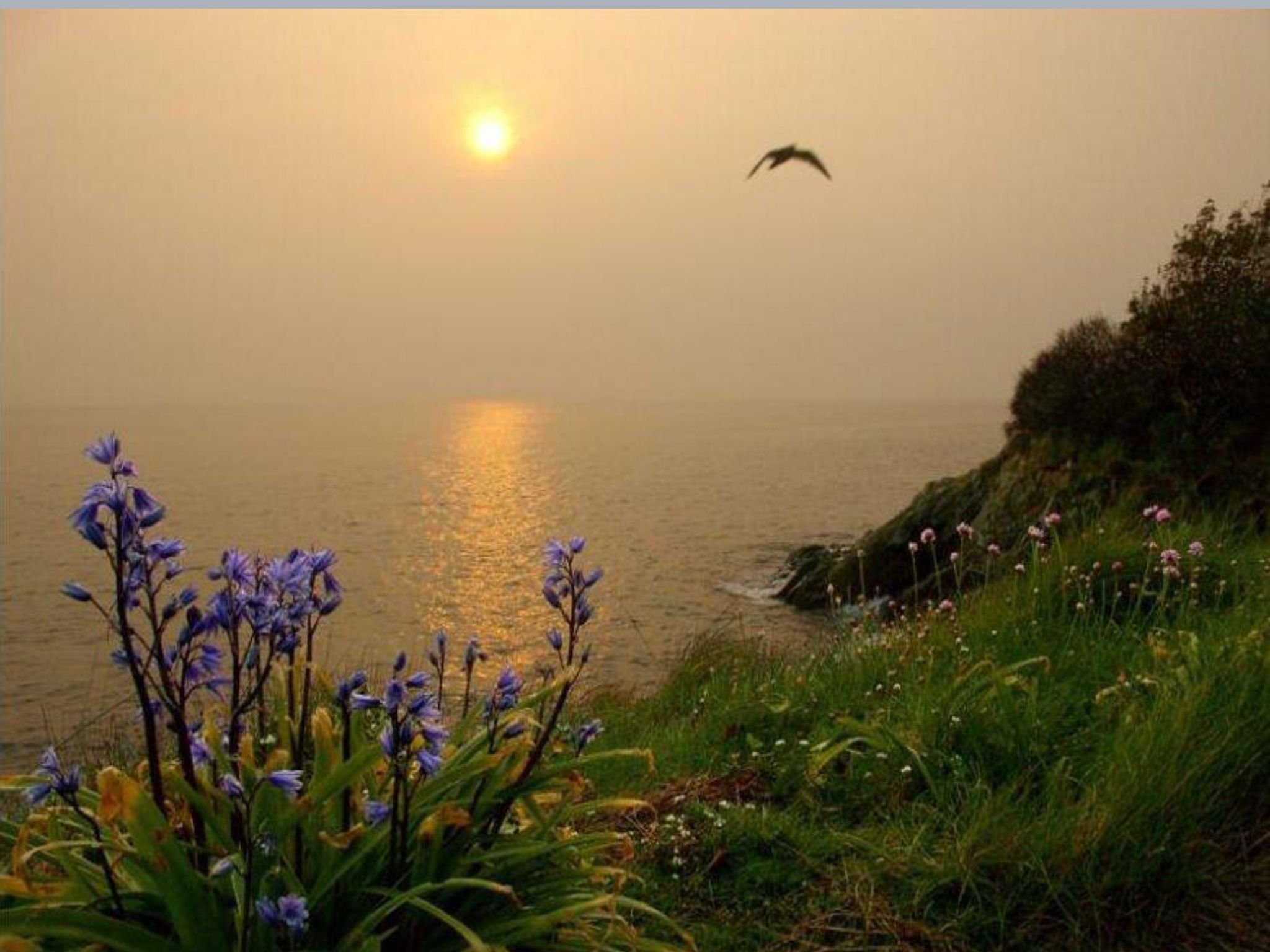 Добрый вечер солнце. Утренняя природа. Чудесные пейзажи. Утренний пейзаж. Море весной.