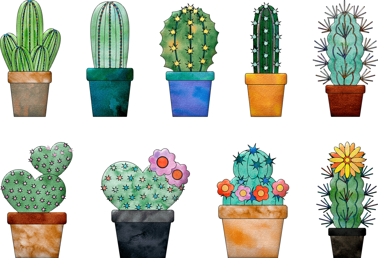 Dibujo de cactus