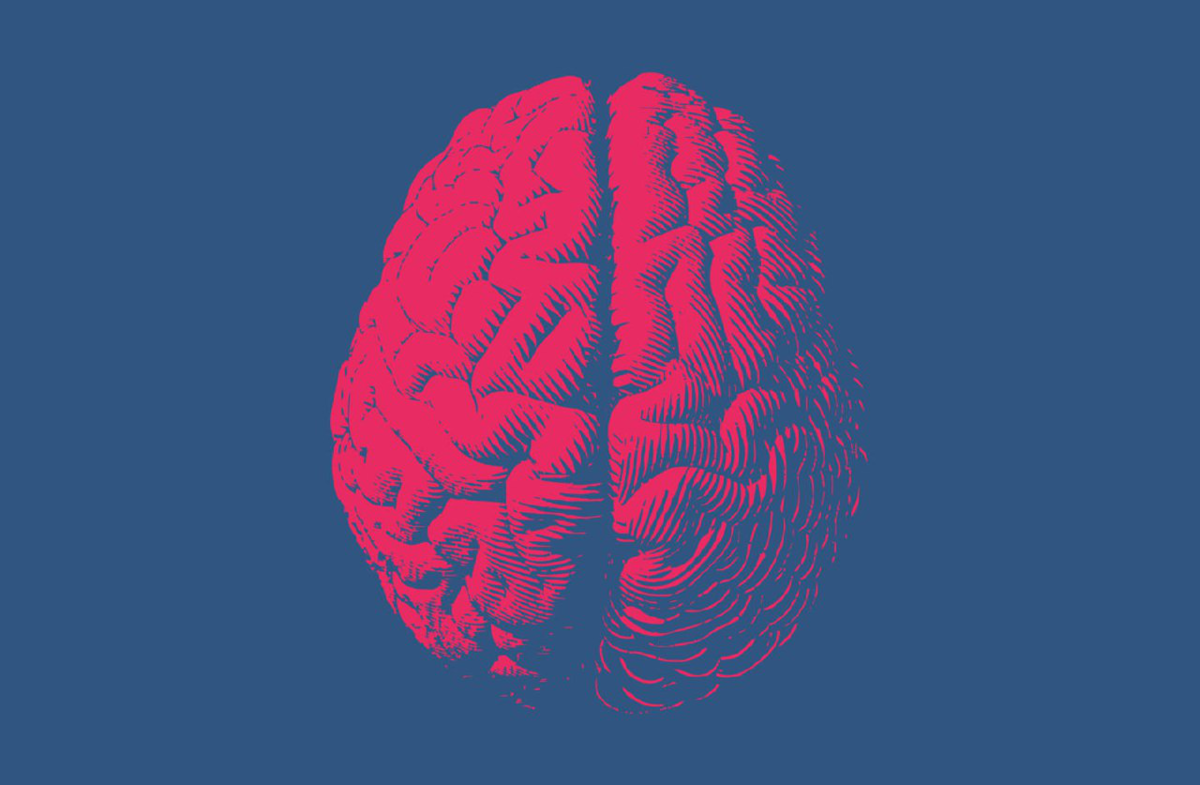 Красивый мозг человека