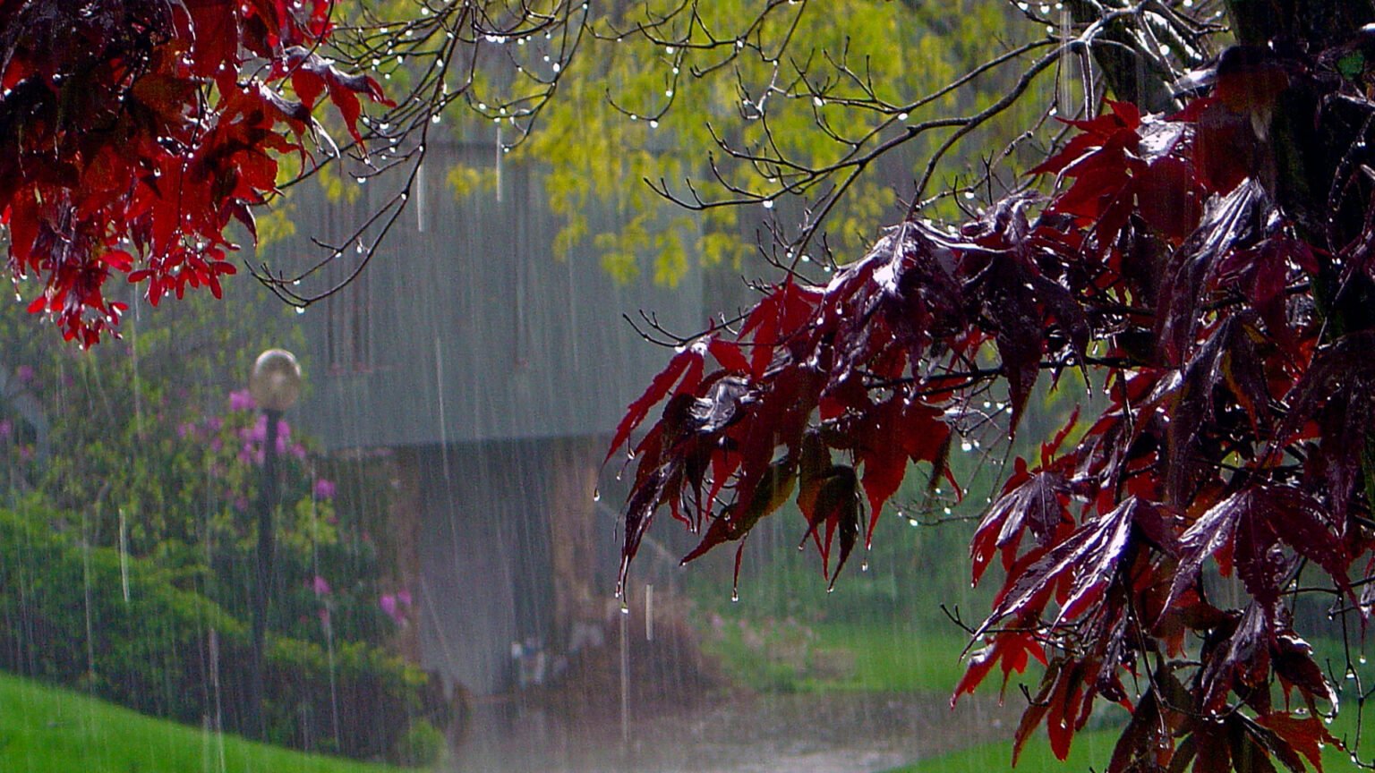 картинки про осенний дождь красивые