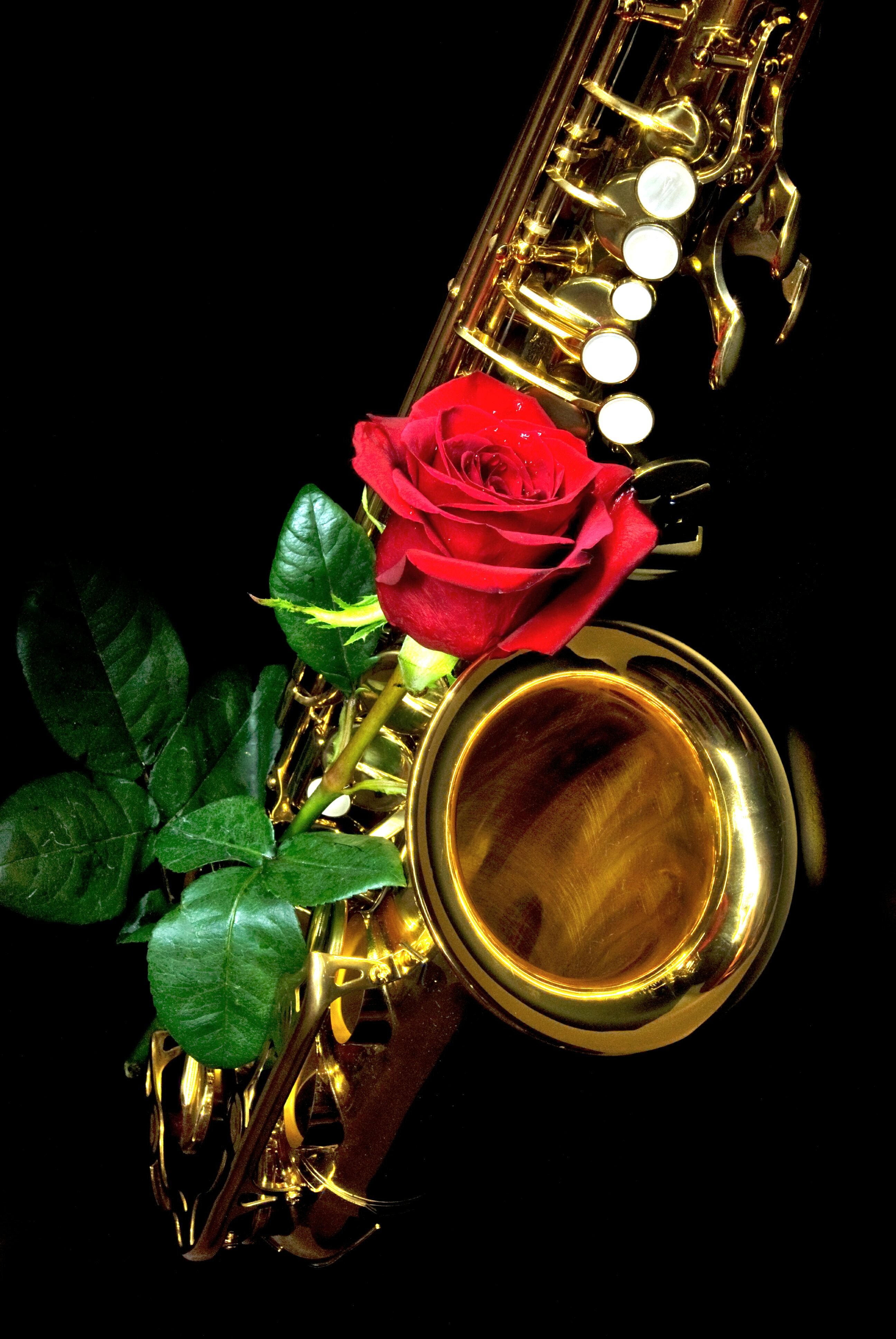 Золотой саксофон для души. Саксофон. Цветы саксофонисту. Саксофон и цветы. Саксофонист на темном фоне.