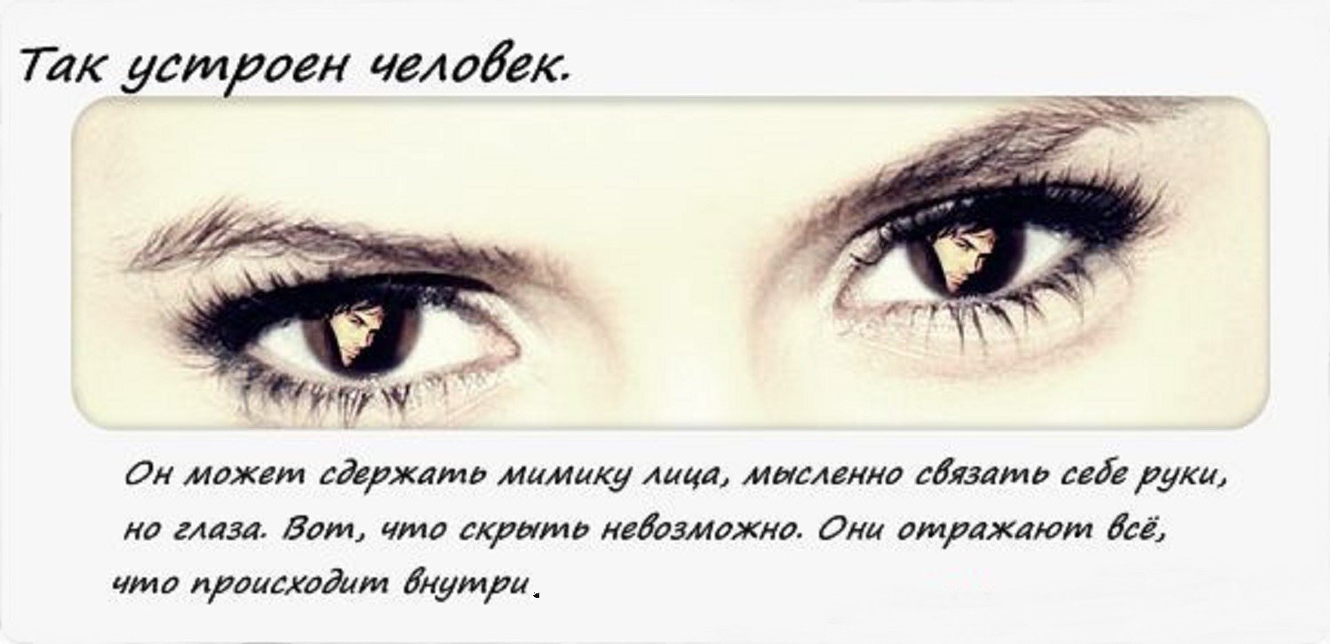В моих глазах увидишь только правду. Цитаты про глаза и взгляд. Красивые высказывания про глаза. Цитаты про красивые глаза. Стихи про глаза.