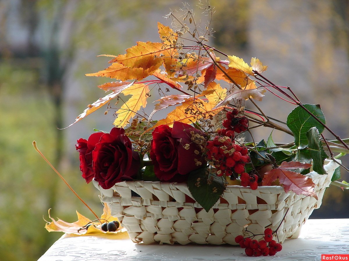 Шикарный осенний букет цветов