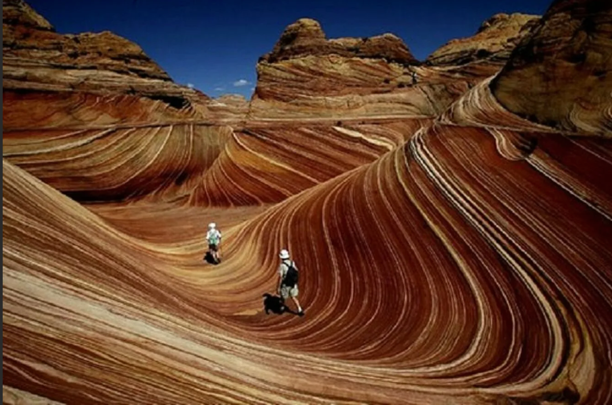 Каньон Аризонская волна. Каньон волны Аризона. Каменная волна США каньон Вермилион. Скальная формация волна Аризона.