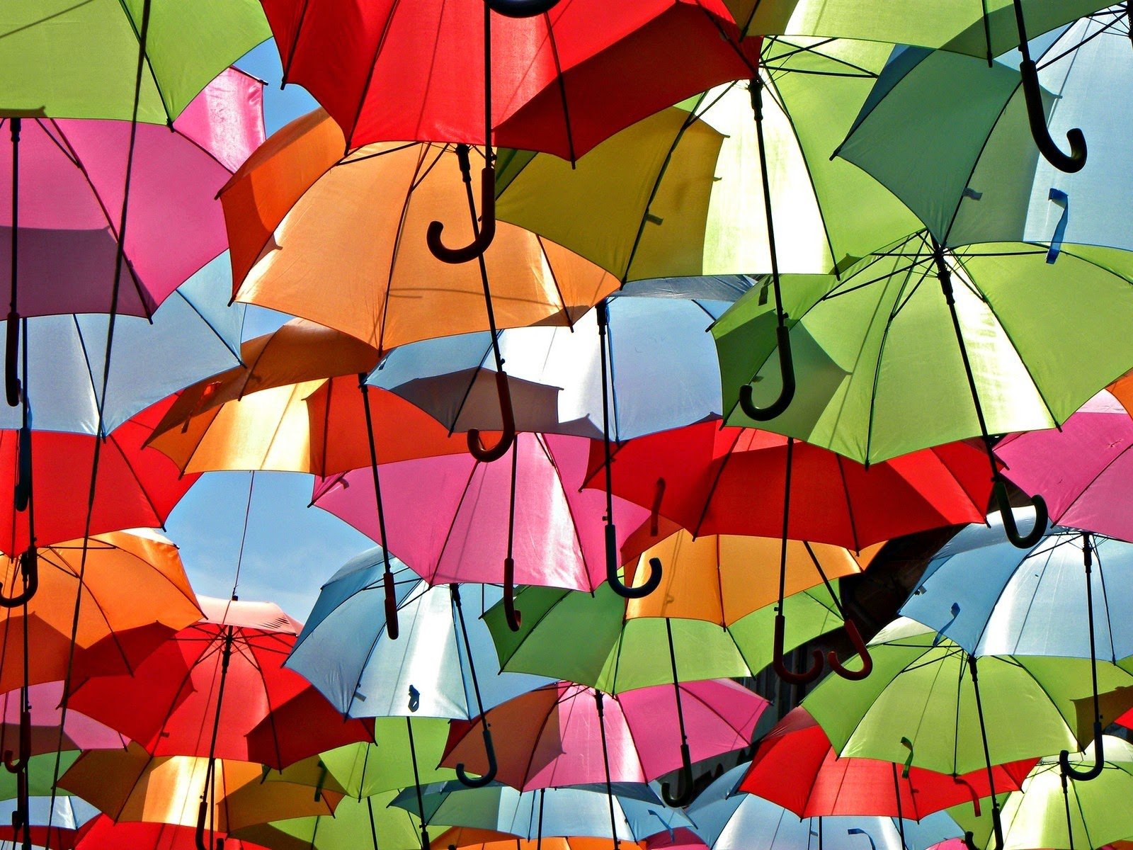 Мир зонтиков. Небесные зонтики Португалия. Разноцветные зонтики. Зонтики яркие. Красивые зонтики.