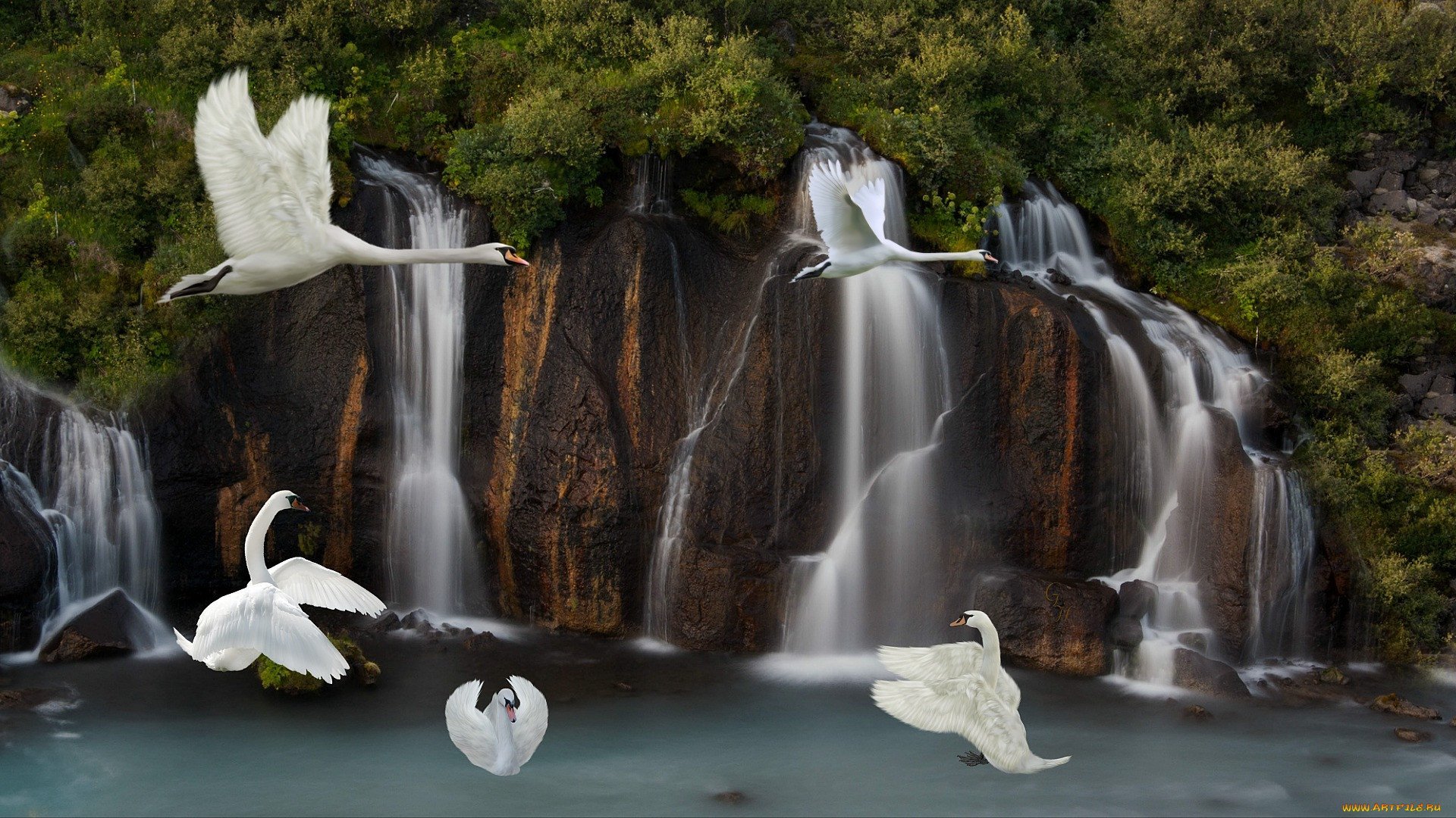 Wallpaper живые. Лебеди и водопады. Водопад и птицы. Красивый водопад и птицы. Фотообои водопады с лебедями.
