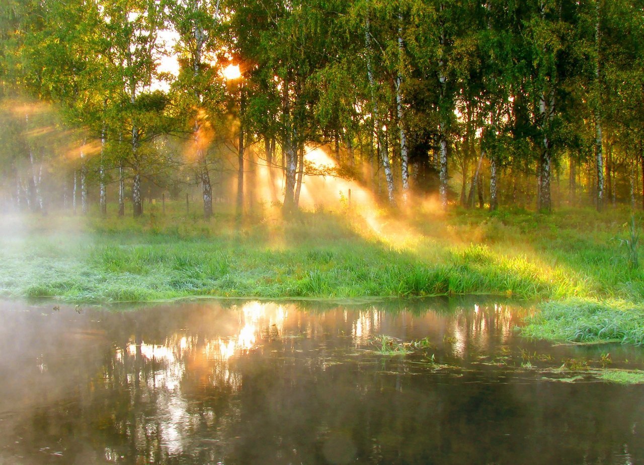 Летний вечер за лесами солнышко уж село. Солнце после дождя. Солнечный день. Солнечное утро. Утро природа.