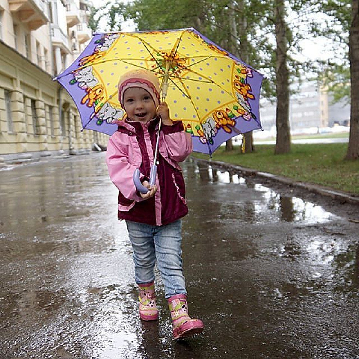 Дождь не прекращался ни на минуту. Дождливый день. Небольшой дождь. Прохладно и дождливо. Осенний дождик для детей.