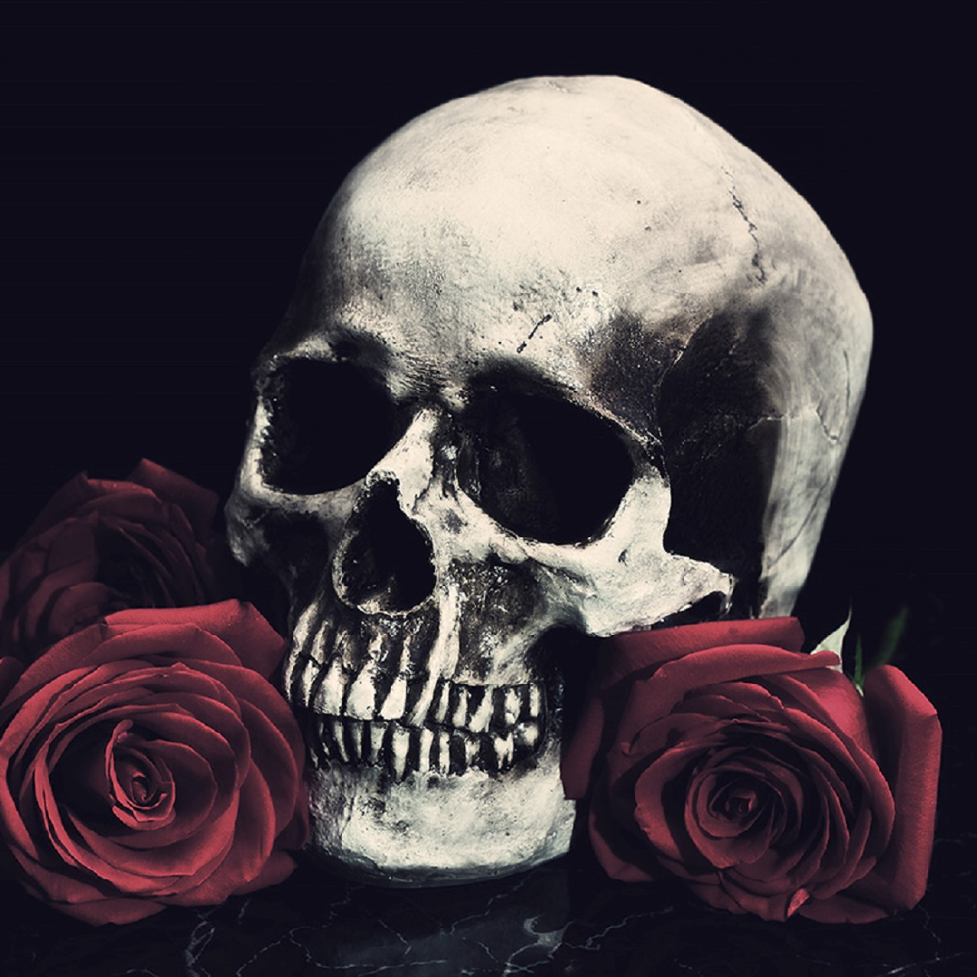 Черепая. Красивый череп. Скелет с розой. Череп с розой.