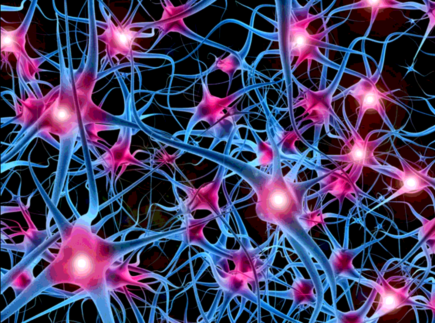 Библиотеки для нейронных сетей. Нейронные связи. Нейронная сеть мозга. Клетки мозга. Нейронные связи головного мозга.