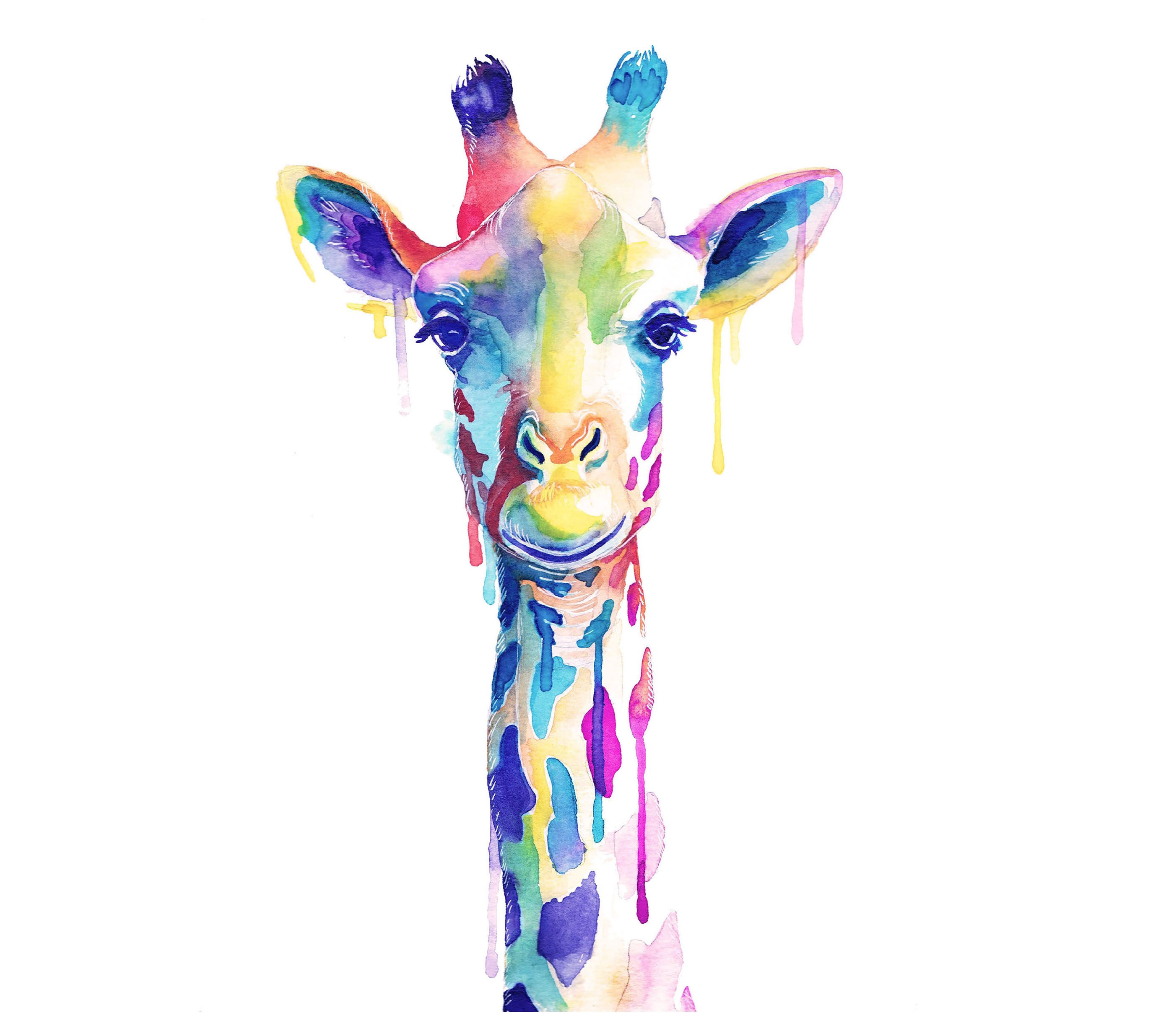 Красочный яркий Жираф