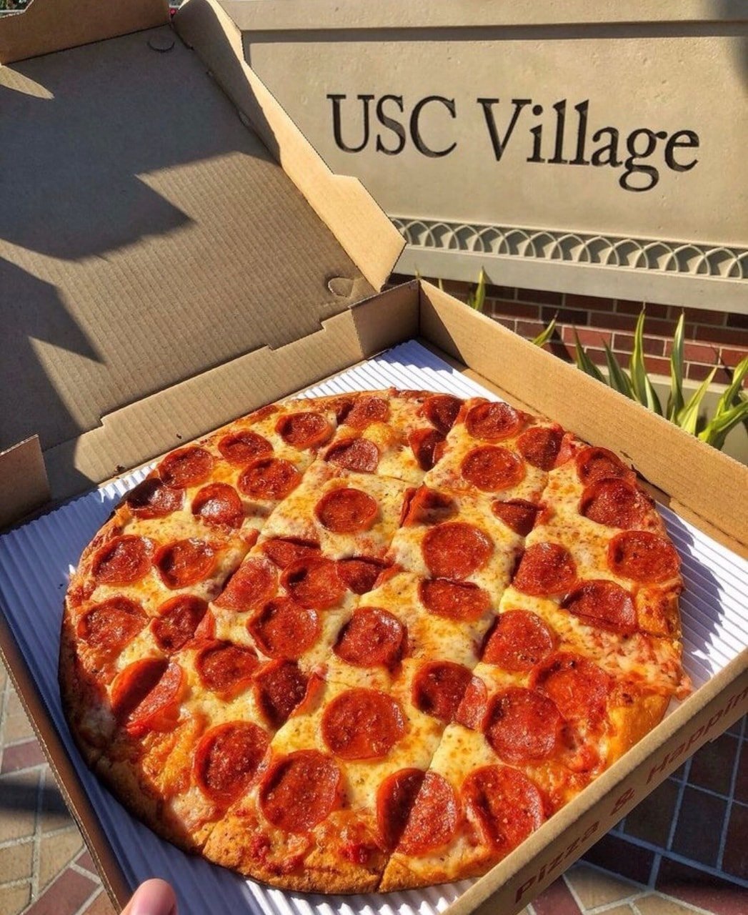 фото пепперони пицца в коробке фото 43