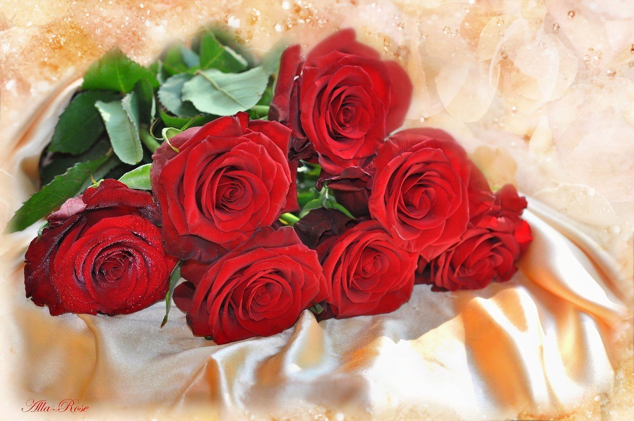 Розочки любимые. Красивый букет роз. Цветы для любимой. Красивые розы для любимой.