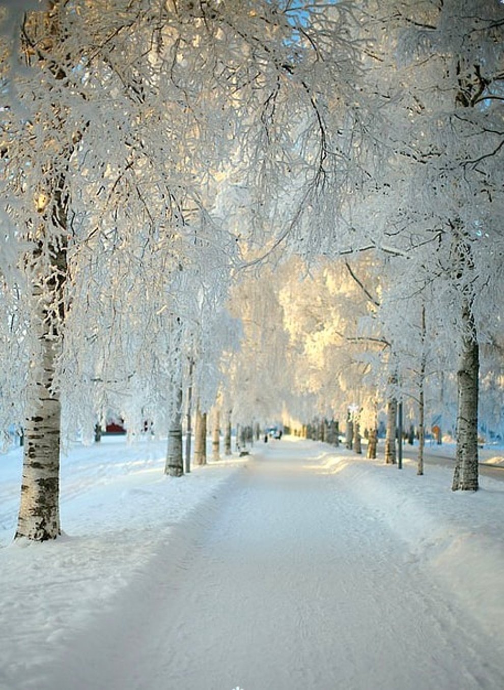 Снежная красивая зима