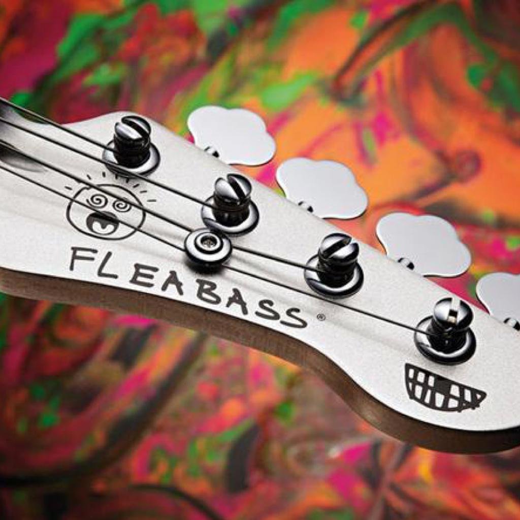De bass. Бас гитара Фли. Бас гитара Flea Bass. Гитара Fender Flea Jazz Bass. Фли с гитарой.