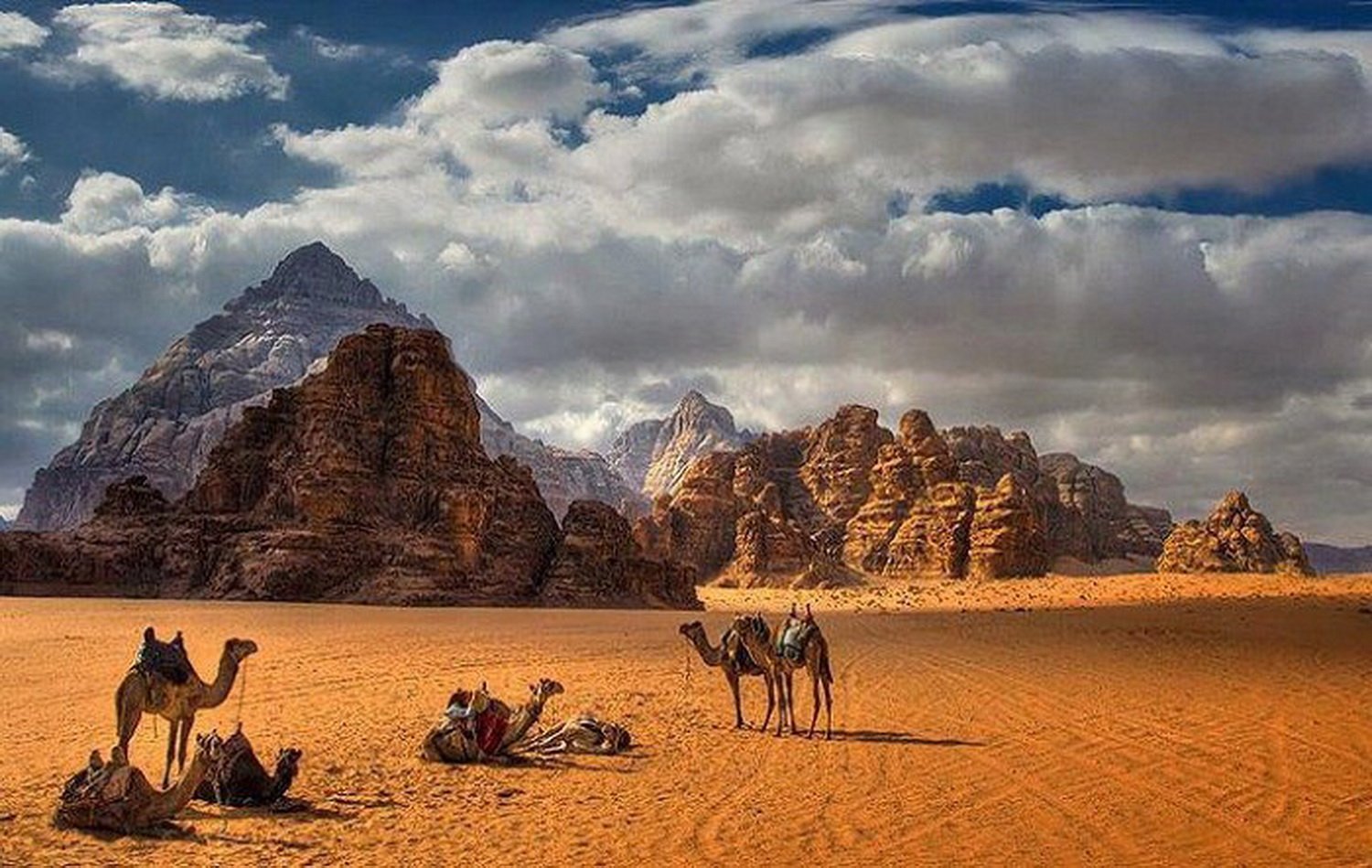 Самый караван. Вади рам бедуины. Пустыня Вади рам Иордания. Пустыня Вади рам закат. Эль ХАМРА пустыня.