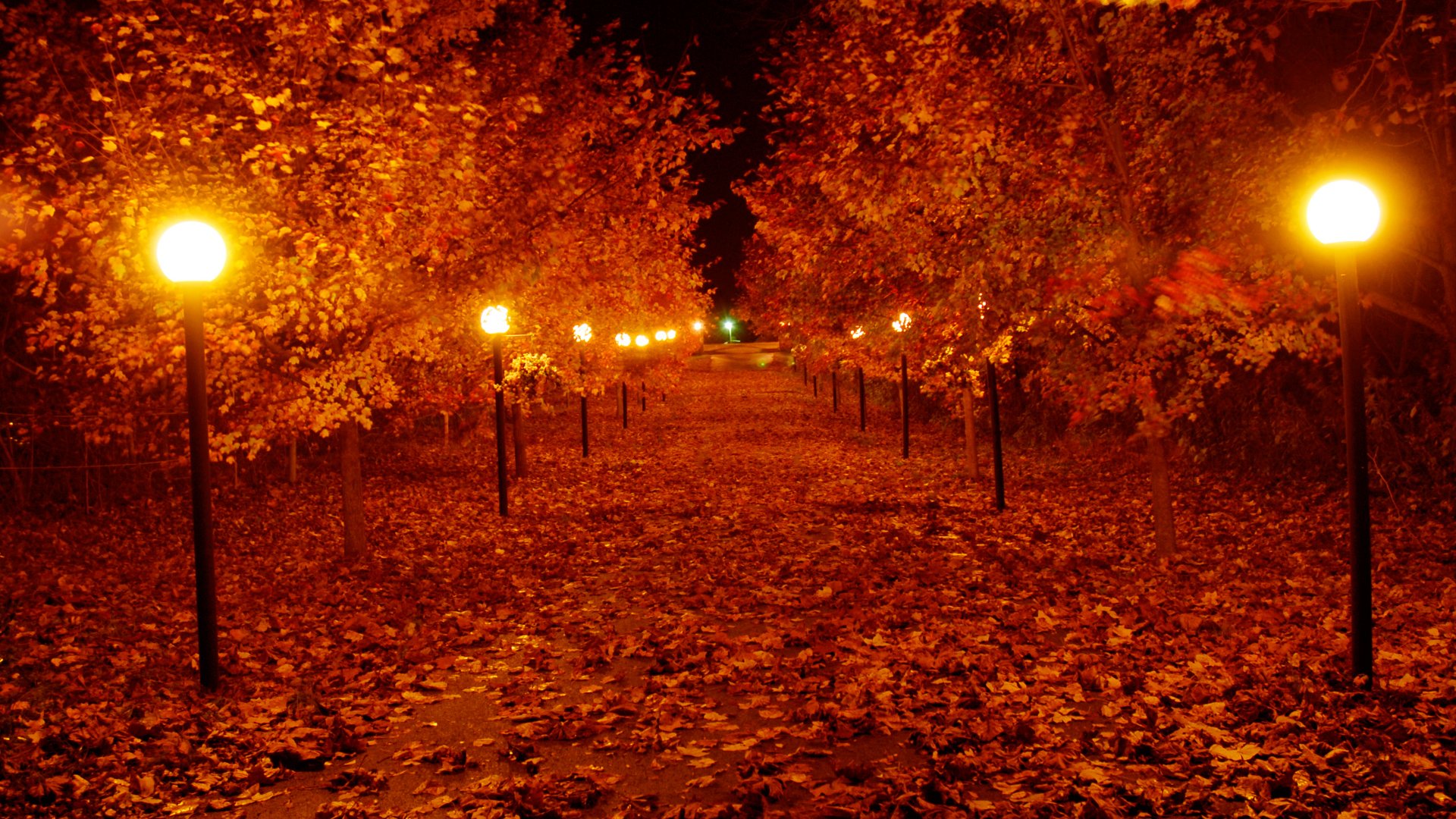 Конец сентября вечер. Осенний вечер. Осенняя аллея ночью. Осенний парк. Осенний парк вечером.