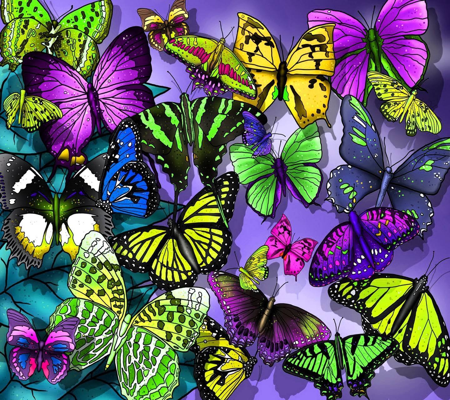 Красивые бабочки заставки