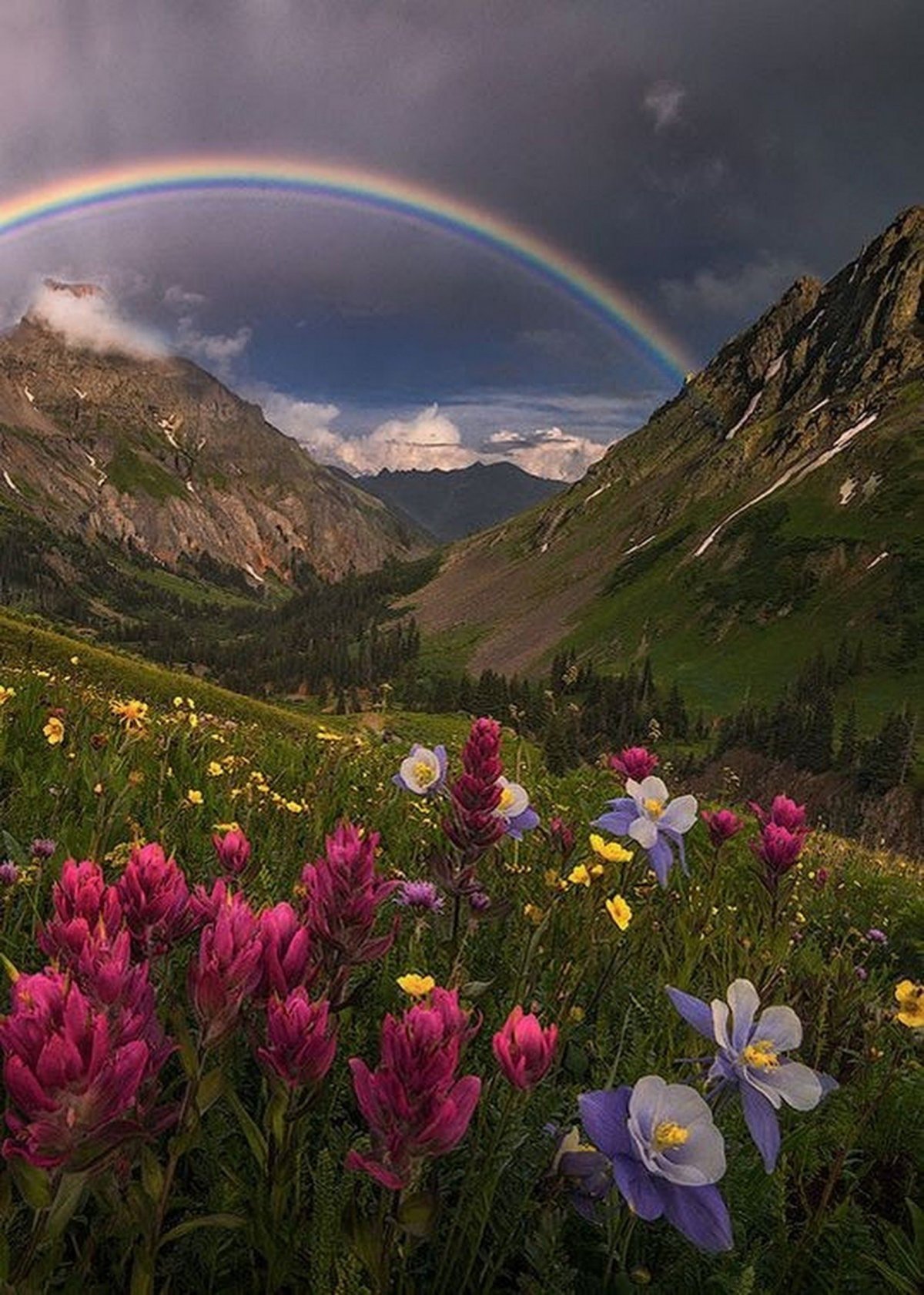 Божественно красивая картинка. Радуга в природе. Цветы в горах. Прекрасный мир природы. Красивые пейзажи с цветами.