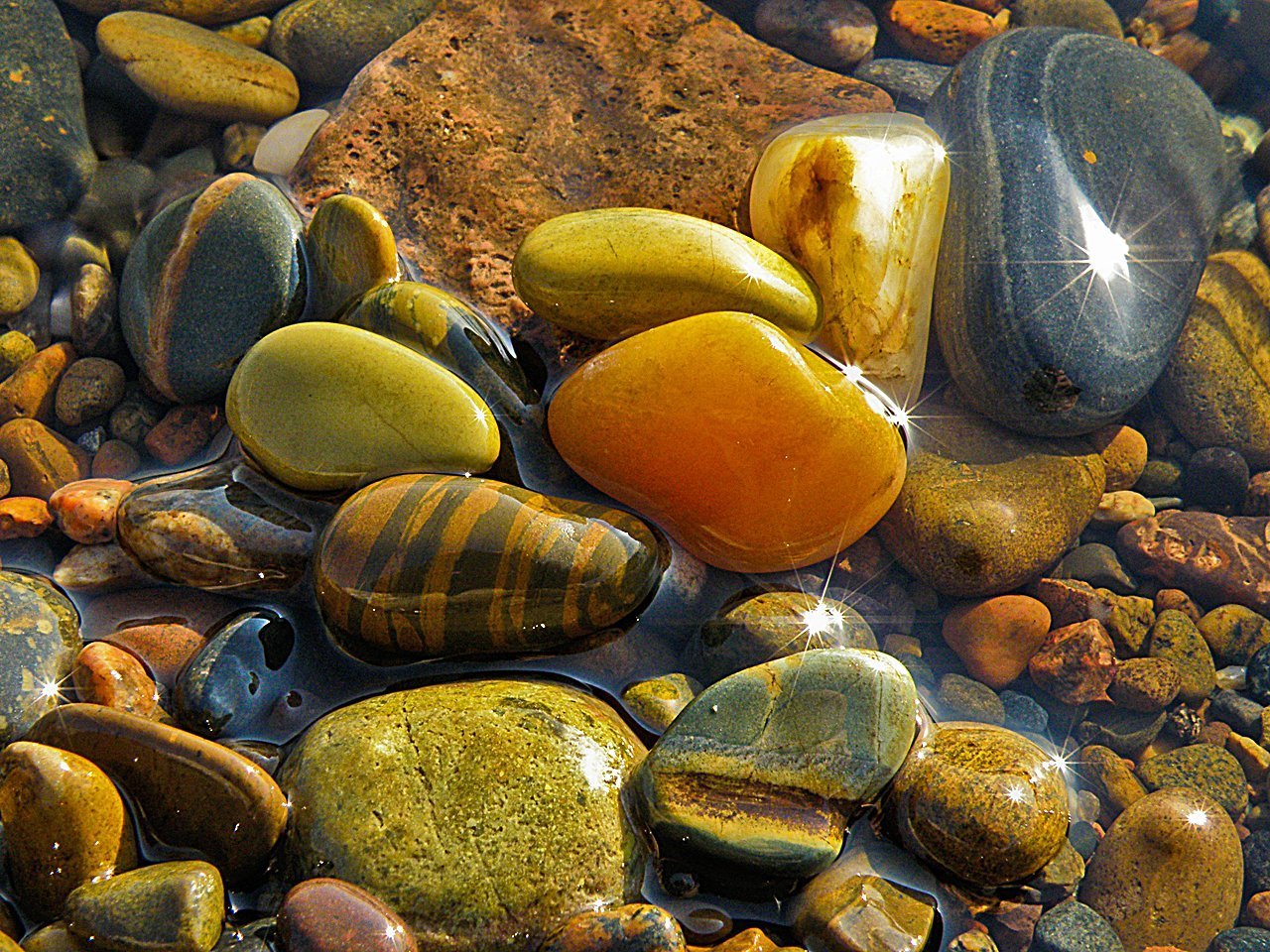 Камни вода рыбы. "Золотые камушки" Байкала. Речная галька горного Алтая. Красивые морские камни. Разноцветные морские гальки.