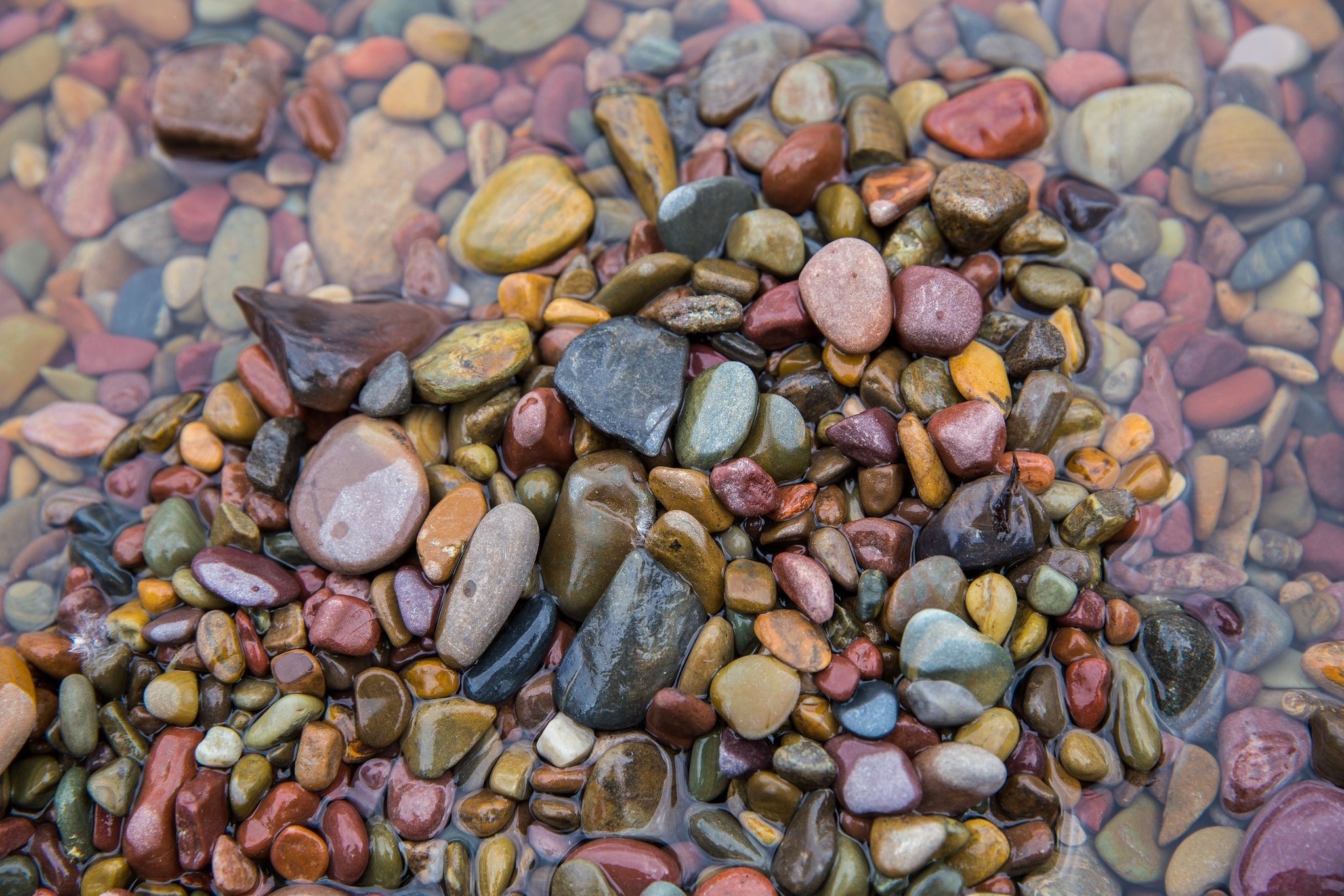 Wet stone. Нефрит галечник. Разноцветная морская галька. Разноцветные камни. Цветные камешки.