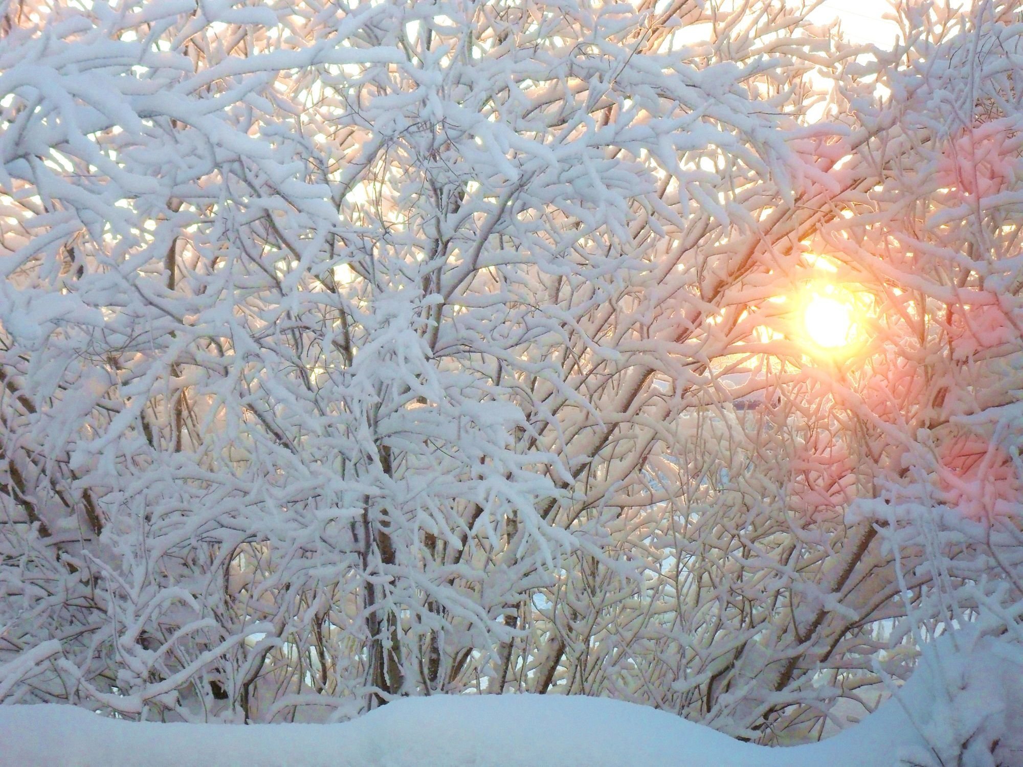 Зимний день зимняя куртка зимнее утро. Зима солнце. Солнечный зимний день. Морозный Солнечный день.