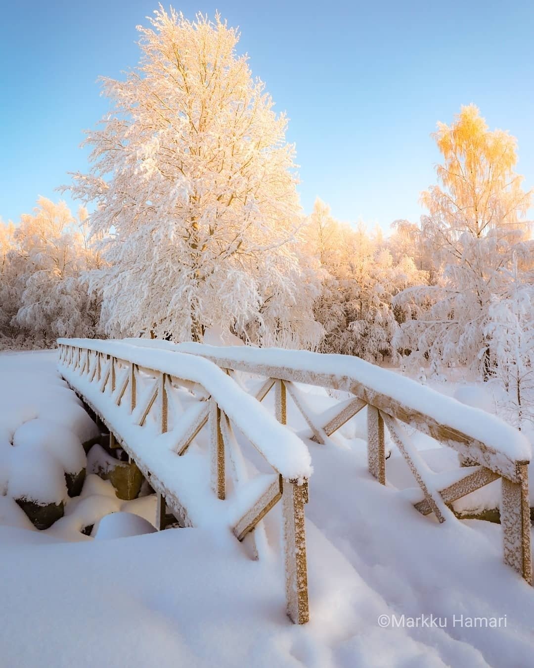 Вид зимы. Зима. Зима пейзаж. Красивая зима. Зимний мост.