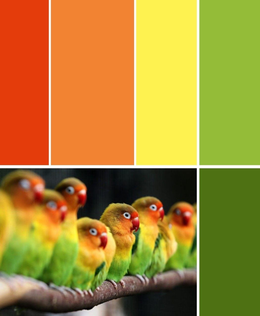 Красно желтая палитра. Цветовые сочетания. Цветовые сочетания с оранжевым. Сочетание ярких цветов. Цветовая палитра оранжевый зеленый.