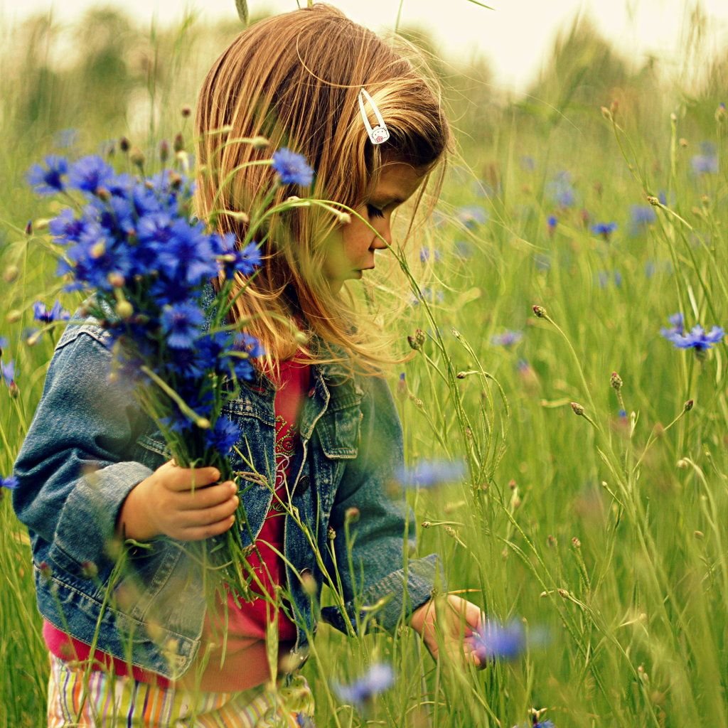 Собирали васильки. Девушка в поле с васильками. Девочка с цветами. Девушка с полевыми цветами. Девушка поле цветы.